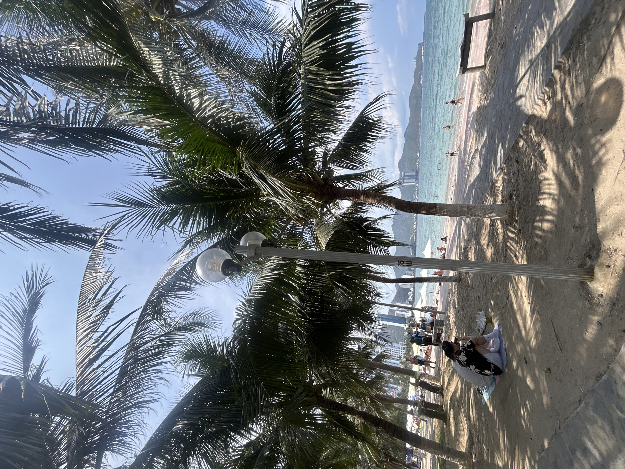 The image depicts a sunny beach scene in Bắc Nha Trang, Vietnam, framed by palm trees and featuring a light post. The coastline is visible in the background, with buildings rising along the shoreline and a mountain or landmass in the distance. People are visible on the beach, both in the water and on the sand. In the foreground, a person is sitting on a blanket on the sand, appearing to be using a phone. The ground appears to be sandy, transitioning into a paved area near the base of the palm trees and light post. The scene overall is a typical beach environment in a tropical urban setting.