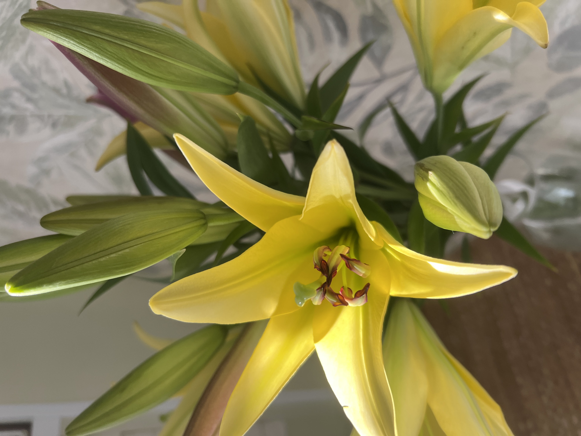 A close-up, top-down shot captures a bouquet of bright yellow lilies in a vase. The foreground is dominated by a fully bloomed lily, its petals fanned open to reveal a stamen with reddish-brown anthers and a green pistil. Numerous closed lily buds, in various stages of development, are clustered around the central bloom, their green sepals tightly wrapped. The lighting suggests it's daytime, with soft light illuminating the flowers from the right, creating subtle shadows and highlights. The background is blurred, showing a pale wall with a subtle floral pattern and a glimpse of a patterned surface below, possibly a tabletop. The image does not contain any people or specific geographical landmarks that would allow for identification of a location within Volgograd, Russia.