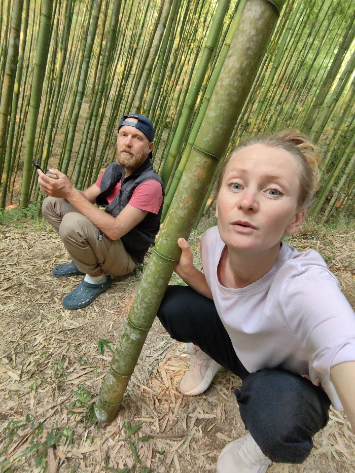 A low-angle photograph depicts an adult male and an adult female squatting in a dense bamboo forest in Mù Cang Chải, Vietnam. The male, positioned on the left, wears a dark blue backward baseball cap, a red t-shirt, a black sleeveless vest, khaki pants, and dark blue Crocs, holding a dark smartphone in his left hand. The female, closer to the camera on the right, wears a light pink long-sleeved shirt, black pants, and light-colored sneakers; her right hand grasps a thick, green bamboo stalk that stands vertically in the immediate foreground. Both individuals look directly towards the camera. The ground beneath them is covered with a dense layer of dry, fallen bamboo leaves and some sparse green vegetation. Numerous tall, slender green bamboo stalks form a uniform and dense background.