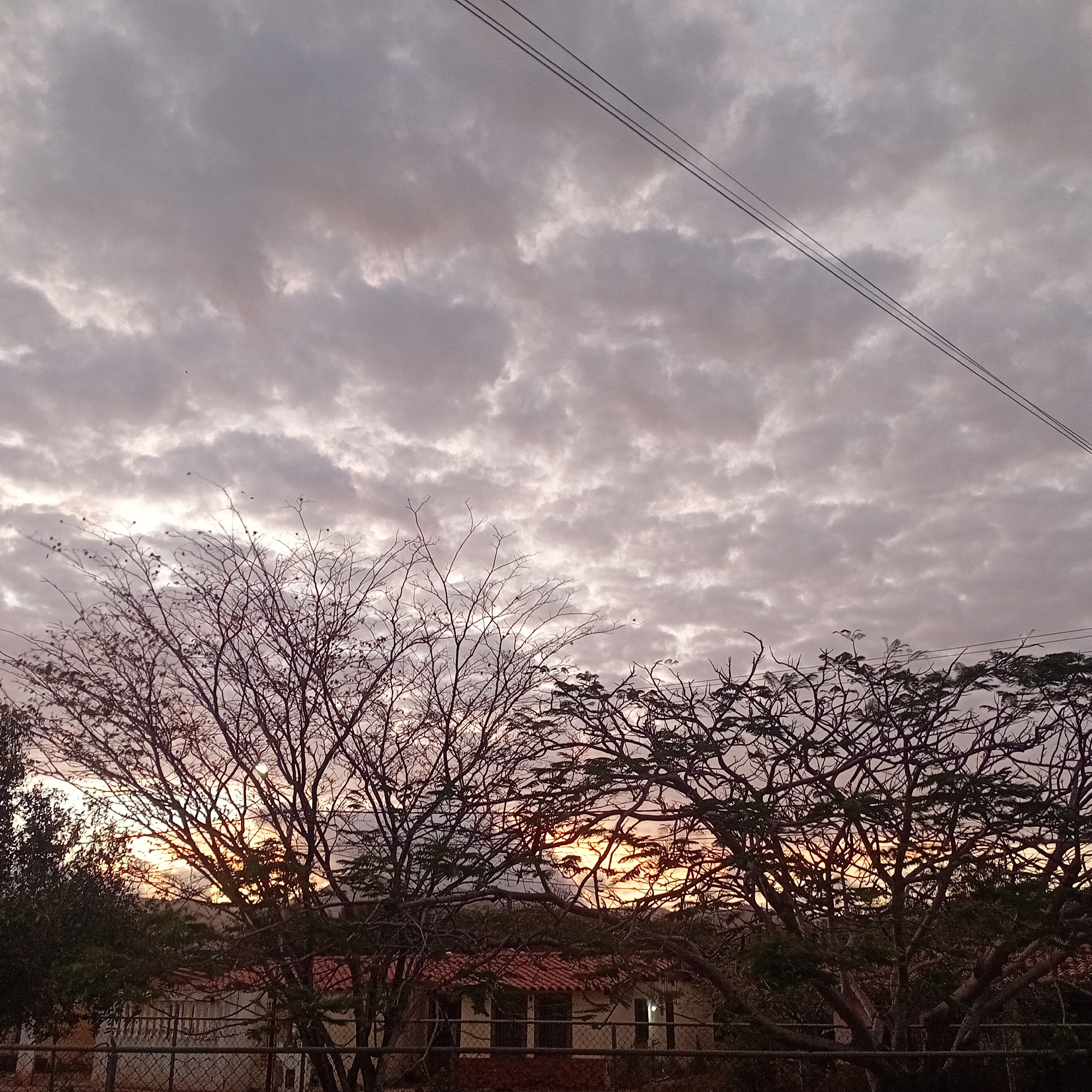 The image shows a landscape with a dramatic sky filled with altocumulus clouds in shades of gray, pink, and white. Silhouetted trees dominate the midground. Behind the trees, a building with a red tile roof is visible, partially obscured by the branches. A wire fence runs along the bottom of the frame. The overall scene is dimly lit, suggesting either sunrise or sunset. The location is identified as Unknown, Unknown.
