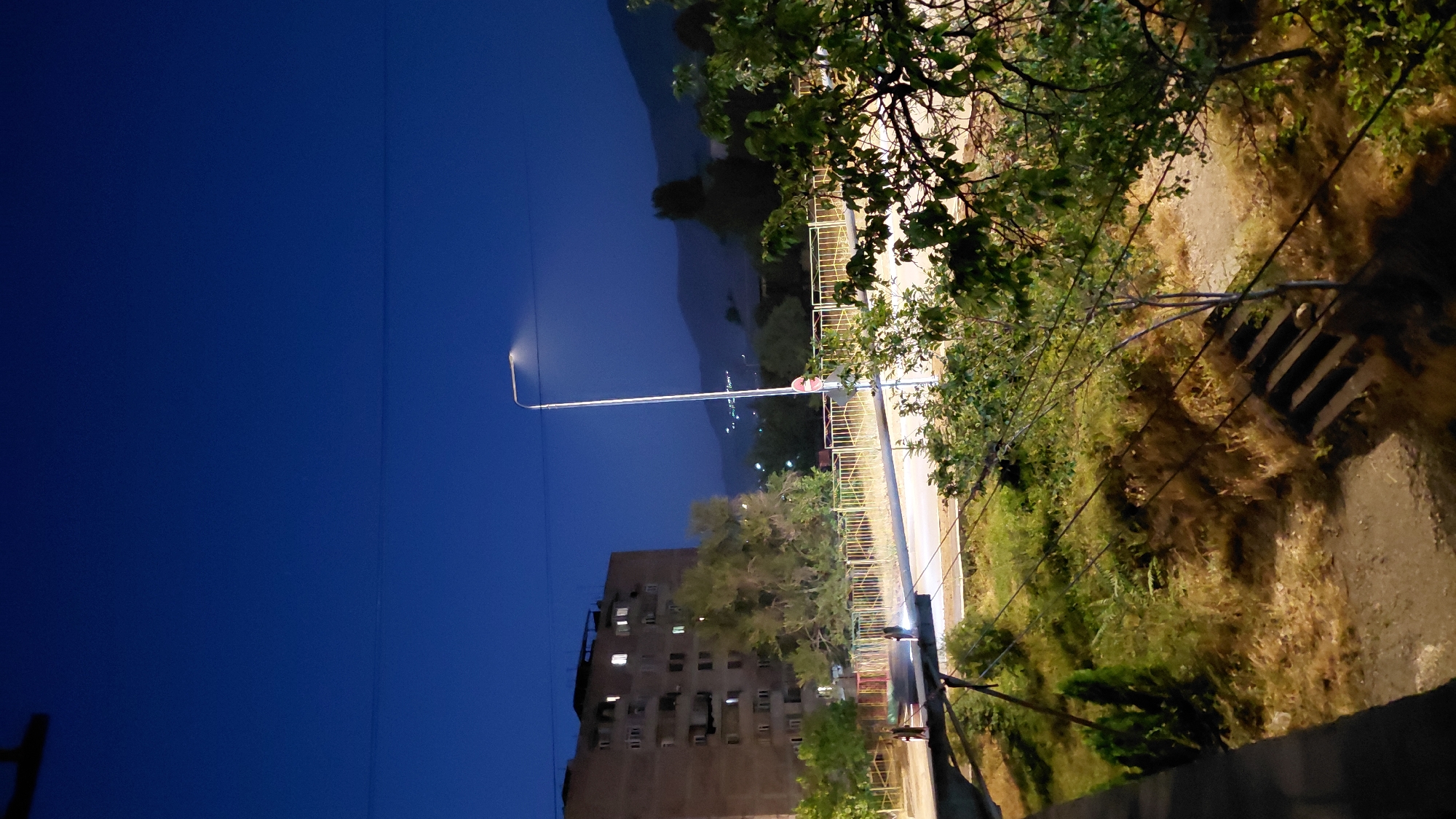 An outdoor, eye-level, medium shot captures a twilight scene in an urban environment. In the background, a multi-story brick building with illuminated windows stands to the left, partially obscured by trees. A street light with a bright lamp stands tall on the right side of the image. A yellow metal fence runs horizontally across the middle ground, separating the street from the grassy embankment and a paved pathway below. Dense foliage and trees are visible in the foreground and middle ground. The sky is a deep, dark blue, indicating dusk or early night. The ground is covered in dry grass and a few steps are visible leading down.