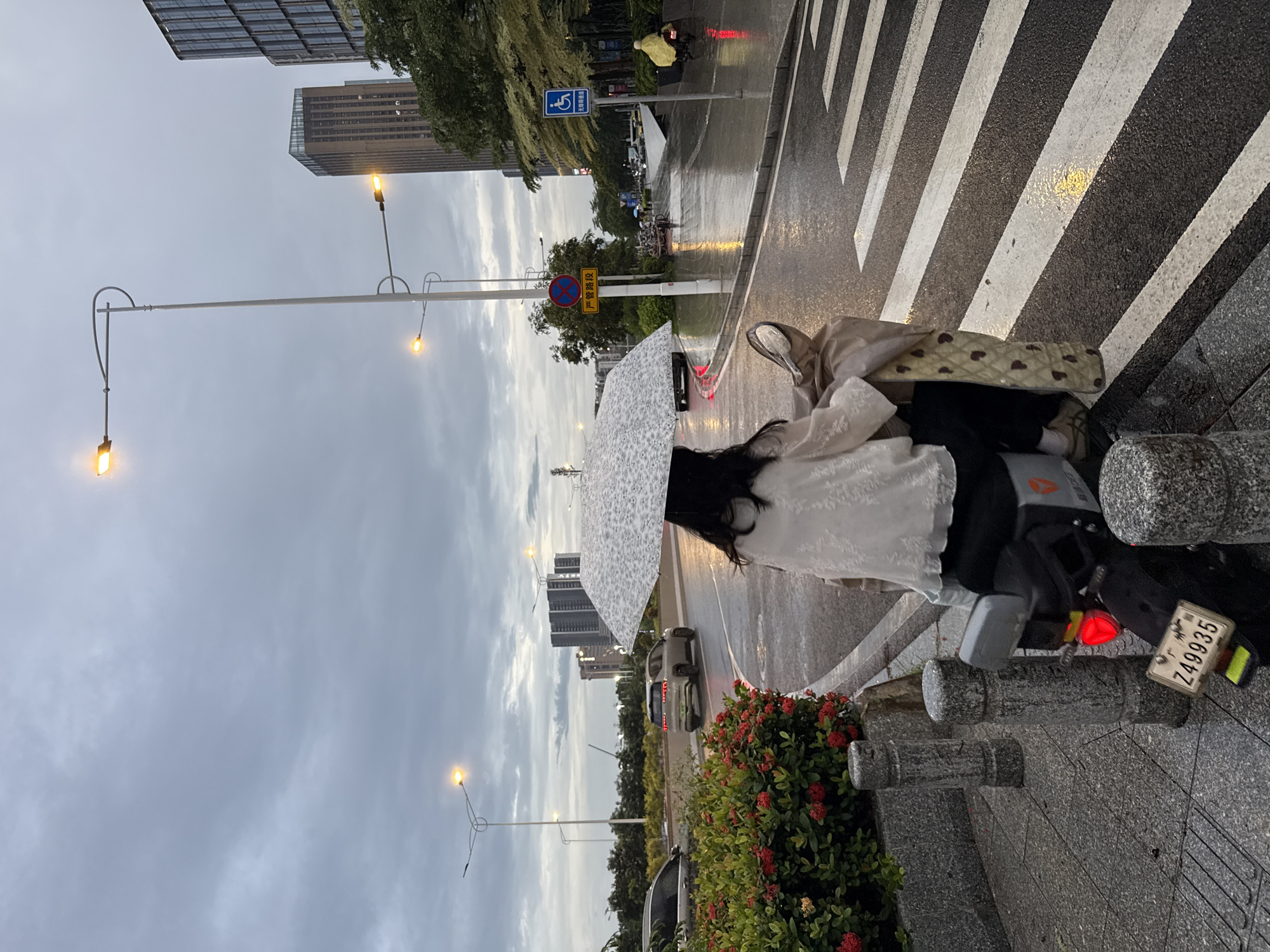 The image depicts a rainy day scene in Haizhu District, China. The primary subject is a person, likely a woman, holding a large, patterned umbrella over themselves. They are seated, possibly on a scooter or motorcycle, as indicated by the presence of a license plate with the characters "Z49935" and a red taillight. The person is wearing a light-colored, possibly white, patterned top. Beside them, resting on the seat, is a light-colored bag with a dark patterned design.
The setting is an urban environment, with a pedestrian crossing prominently featured in the foreground. The wet asphalt of the road and pedestrian crossing, along with the reflection of lights, clearly indicate rainy weather. In the background, tall buildings are visible, characteristic of a city landscape. There are also streetlights, some of which are illuminated, casting a warm glow. Signs are visible, including a blue sign with a wheelchair symbol and Chinese text, and a yellow circular sign with red markings and Chinese text that appears to indicate a restriction. A few vehicles are present on the road, also suggesting a typical urban street scene. The sky is overcast and grey, further confirming the rainy conditions. The overall mood is quiet and perhaps a little melancholic, consistent with a rainy day in a city. The time of day appears to be late afternoon or early evening, given the streetlights being on and the subdued natural light.