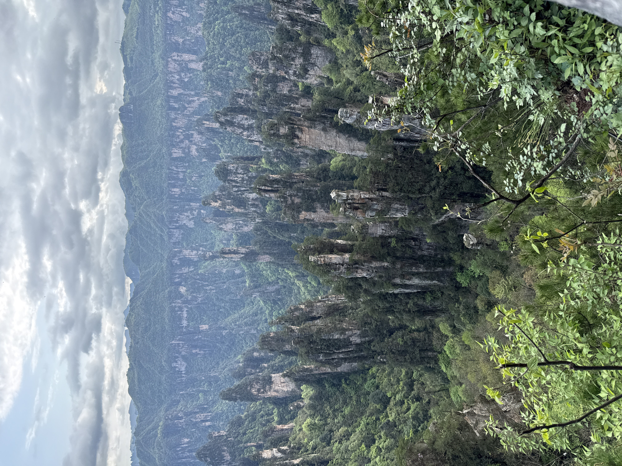 The image depicts a vertical landscape of Zhangjiajie National Forest Park in Wulingyuan, China. The foreground consists of steep, weathered rock formations and lush green vegetation, with trees and foliage obscuring some of the rock faces. In the midground, numerous pillar-like sandstone formations rise from the heavily forested terrain. These formations are characteristic of the unique geological landscape of the area. The background shows distant mountains shrouded in a light haze under an overcast sky. No people are visible in the scene. The overall environment suggests a humid, mountainous region.