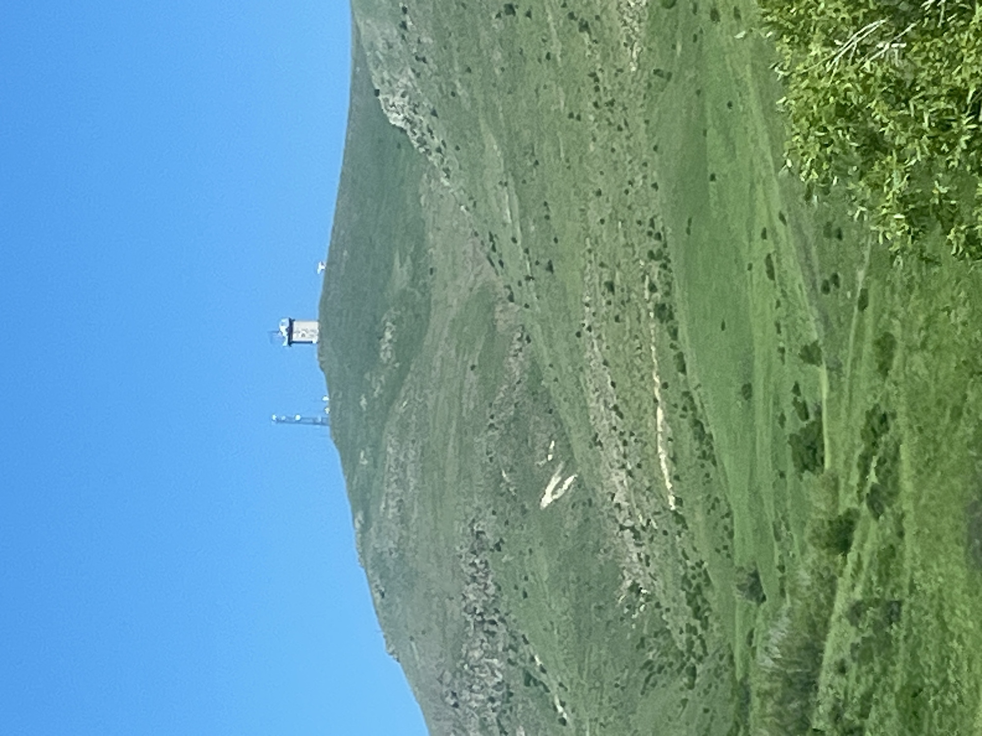 The image displays a panoramic view of a large, green mountain or hill under a clear, bright blue sky. The hillside is extensively covered with lush green grass and interspersed darker patches of vegetation, with some rocky formations visible.
Near the crest of the mountain, towards the left of the frame, stands a white or light-colored building, which appears to be a station or an observatory, featuring a flat roof with visible equipment. Below and slightly to the left of this building, two tall, slender structures, resembling communication towers or antennas, rise against the sky.
Further along the green slope, towards the center-right, a prominent white marking in the shape of a letter 'V' or a similar symbol is clearly visible, contrasting sharply with the surrounding greenery. The right edge of the foreground is occupied by vibrant, leafy green foliage, suggesting a tree or bush close to the camera.
The scene is set on a sunny day with an unblemished blue sky, indicating fair weather. No people are visible, and no specific activities are taking place. There is no discernible text within the image.