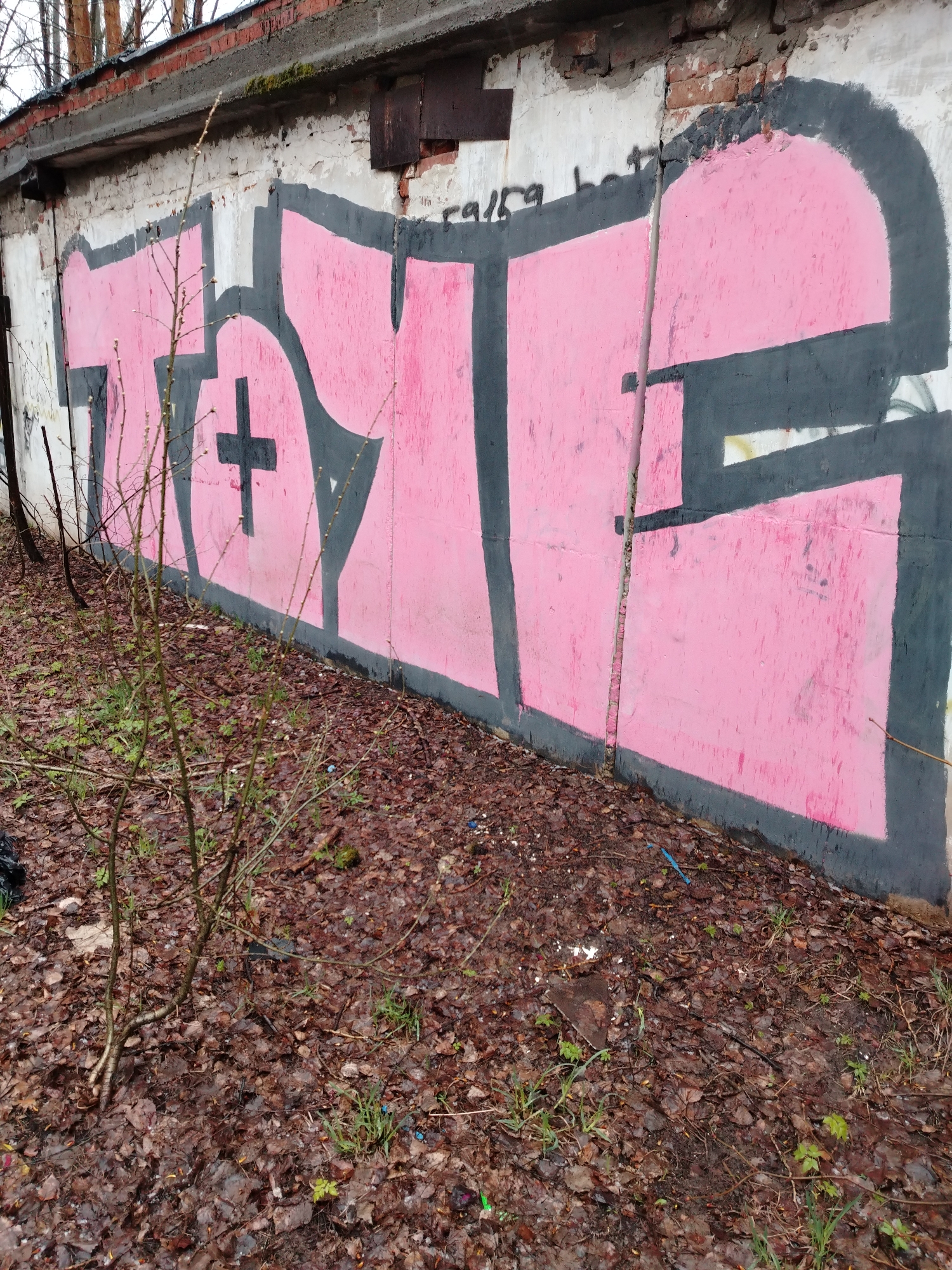 The image shows a weathered concrete wall covered in pink and grey graffiti, located in an urban environment characterized by fallen leaves and sparse vegetation. The graffiti appears to be a large stylized word or design. The wall shows signs of age and deterioration, with cracks and discoloration. In the foreground, thin, leafless branches grow up in front of the wall. The ground is covered in brown leaves, interspersed with patches of grass and other small plants. In the upper portion of the image, sections of brick can be seen above the concrete wall. The exact location is not identifiable based solely on the provided image.