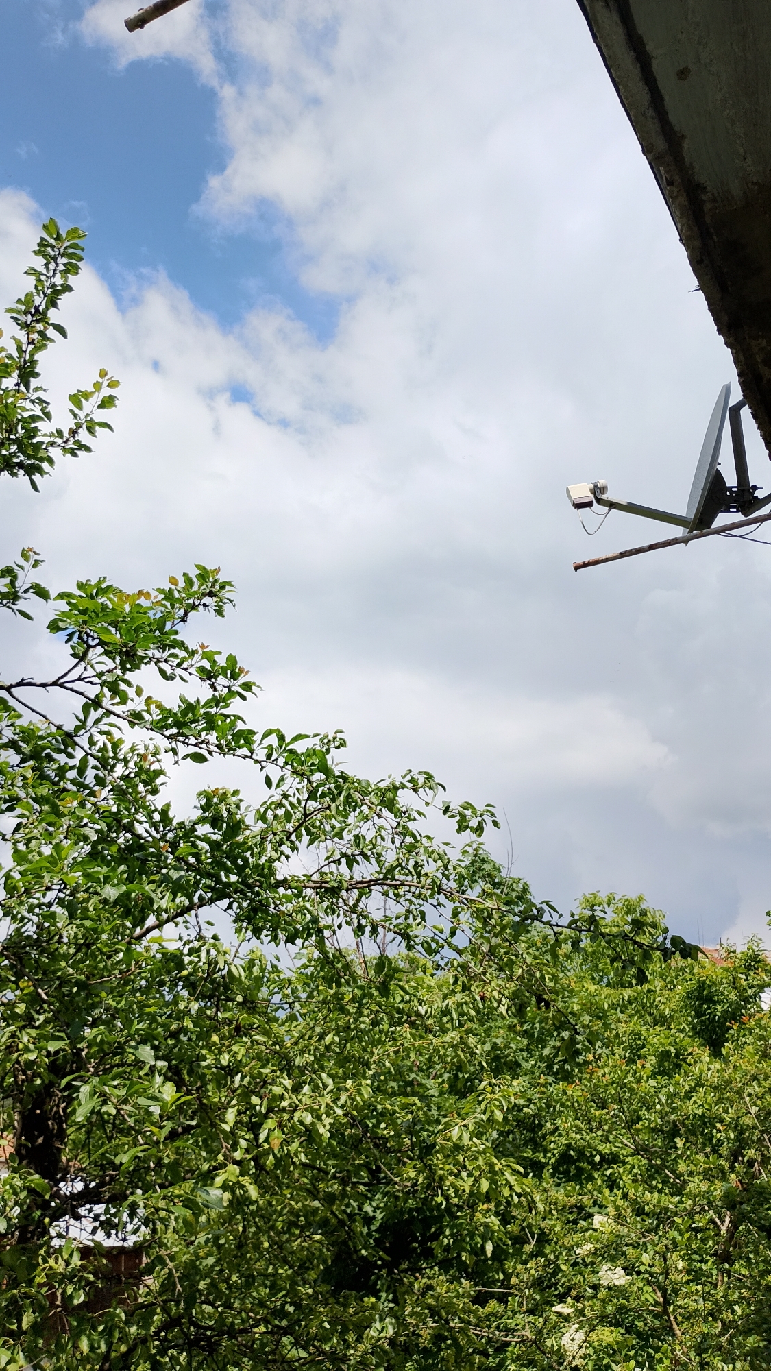 The image depicts an outdoor scene under a cloudy sky. In the foreground, lush green foliage from trees dominates the lower portion of the frame, with some branches reaching towards the upper part. A segment of what appears to be a building or roof overhang is visible in the top right corner. A satellite dish with a small white camera attached to its arm is mounted on a pole, extending into the sky from the right side of the image. The overall environment suggests a residential or urban setting, potentially Smolyan, Bulgaria, based on the context provided. There are no people or discernable actions taking place in the image.