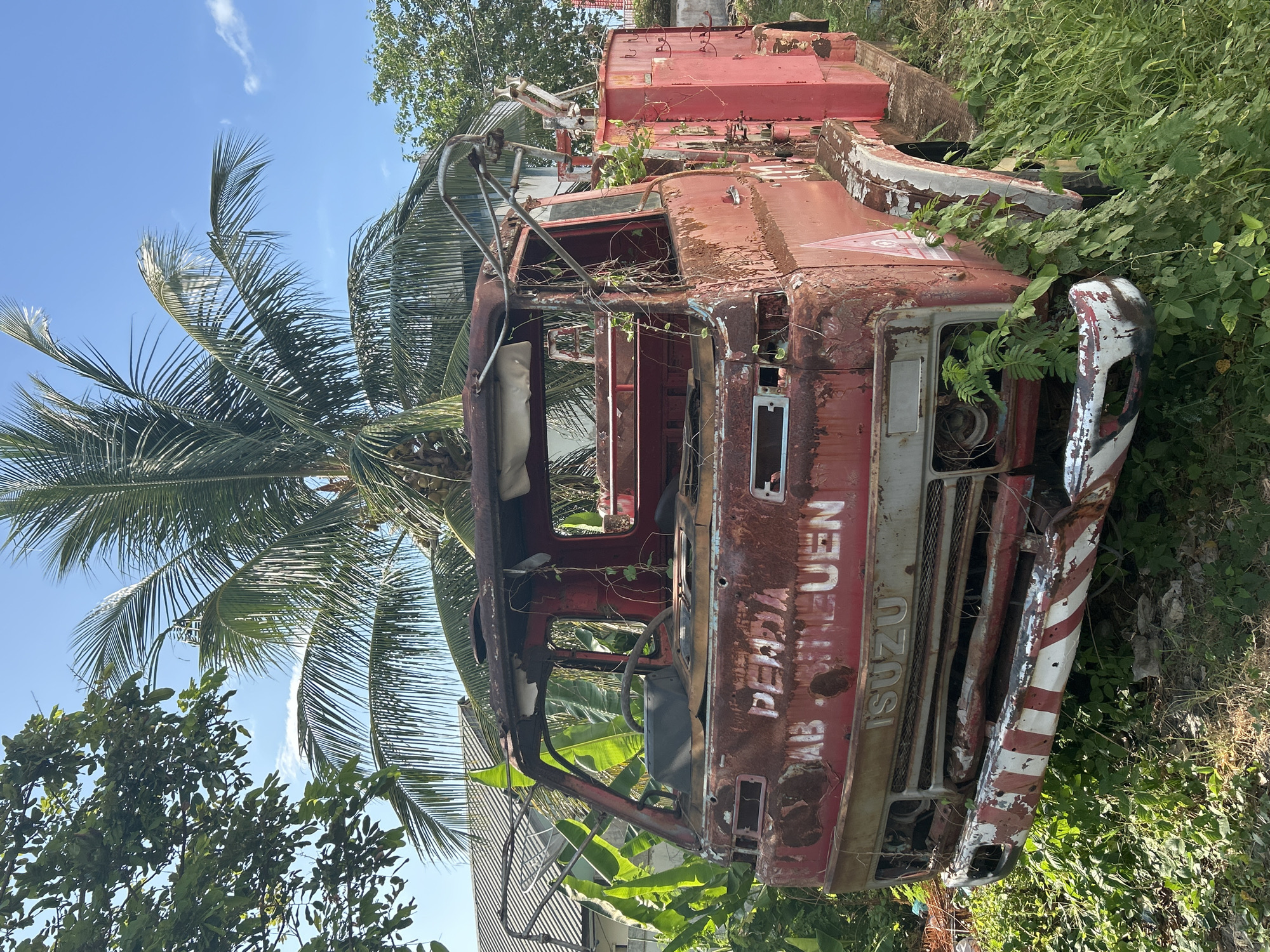 The image depicts an abandoned, heavily rusted red Isuzu fire truck in a rural or semi-rural setting, possibly in or near Cotgadong, Indonesia. The truck is surrounded by lush green vegetation, including banana plants and tall grass, which are encroaching on the vehicle. Palm trees and other foliage are visible in the background, with a clear blue sky overhead. The cab of the fire truck is largely open, with the windshield missing, exposing the interior and the steering wheel. White and red striped paint is visible on the damaged front bumper. The words "PERDA" and "ISUZU" are partially visible on the exterior of the truck. The overall scene suggests a long period of disuse and decay. There are no people or animals visible in the image.