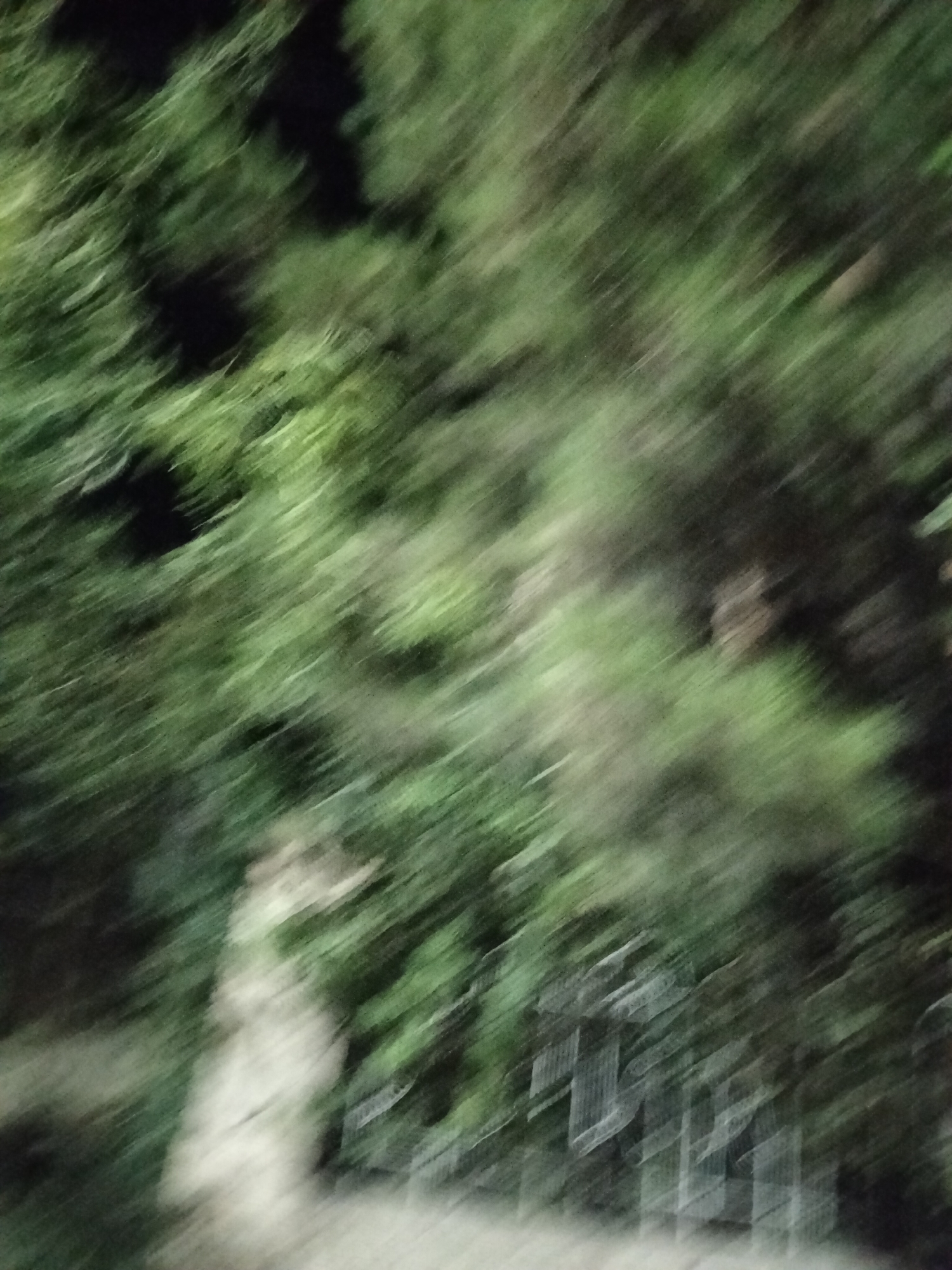 The image is an abstract, motion-blurred photograph of dense green foliage with some darker areas. A pale, elongated shape, possibly a tree trunk or a statue, is visible in the lower left quadrant. A faint, linear pattern suggesting a fence or railing can be seen in the lower right. The overall impression is one of natural elements, perhaps in a park or garden setting. Without additional context or sharper detail, pinpointing the exact location within Kogon City, Uzbekistan is not possible.