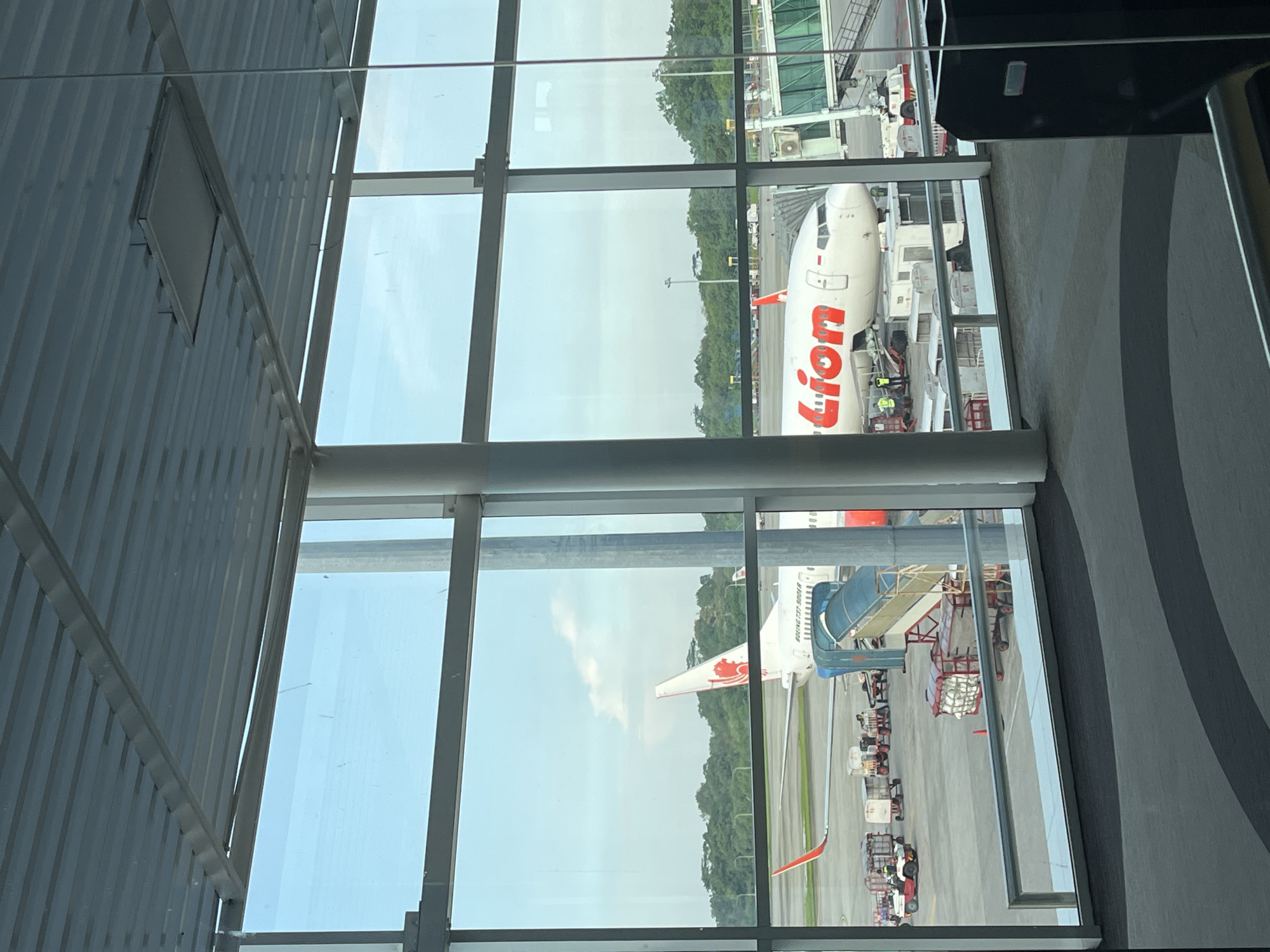 The image depicts an airport scene, likely in Ramunia Dua, Indonesia, as indicated by the "Lion" branded airplane visible through a window. The viewpoint is from inside the airport terminal. The window is constructed of multiple glass panes separated by metal supports.
Outside the window, two Lion Air planes are visible on the tarmac. The first plane is closer, with the full "Lion" logo displayed on its fuselage. A passenger boarding bridge is attached to the second plane.
Airport personnel and equipment are also seen around the aircraft, including baggage carts and service vehicles. In the background, trees define the perimeter of the airport grounds.
The light is bright, suggesting daytime. The sky is visible in the upper portions of the window panes.