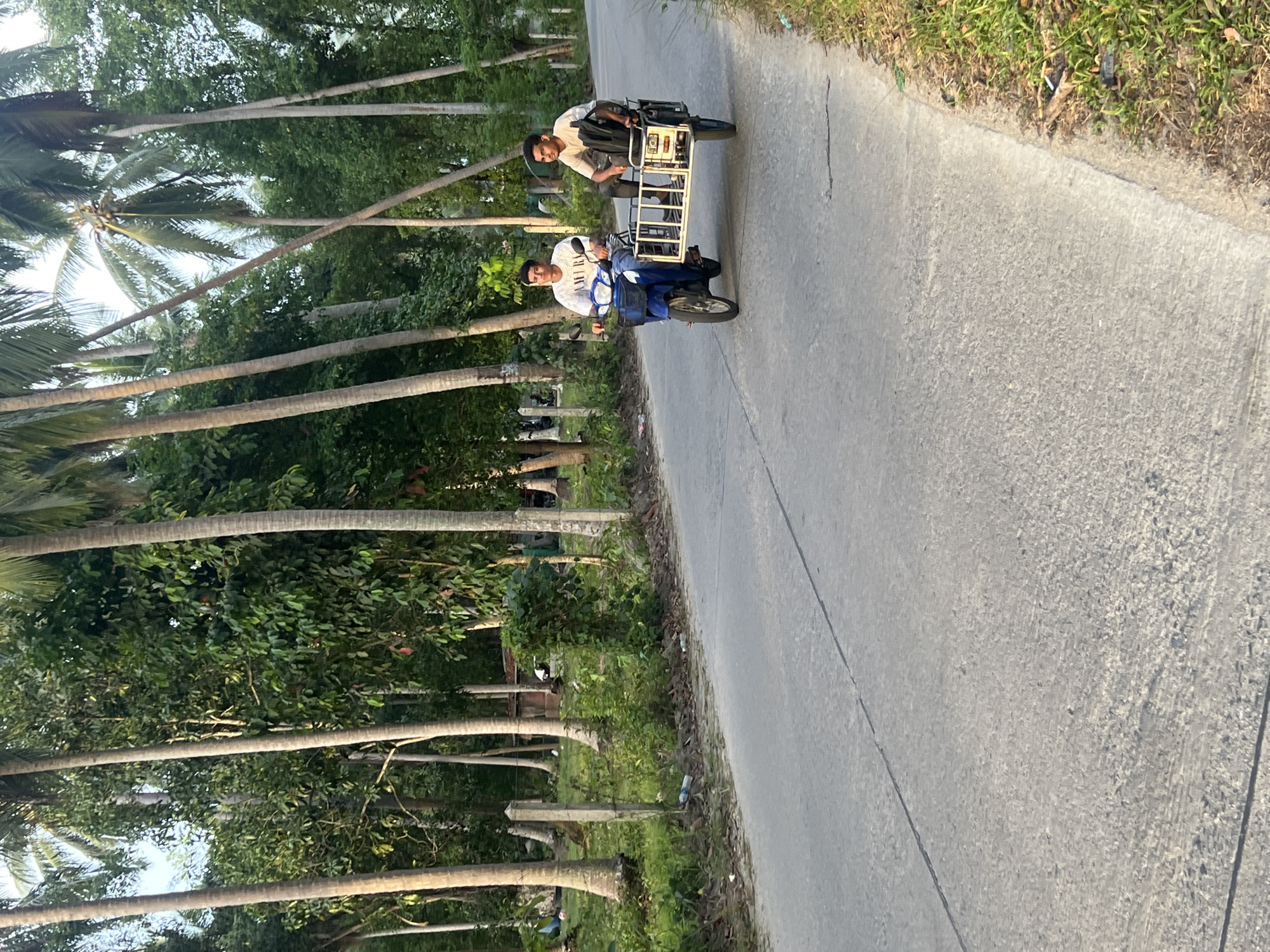 Two young men are riding on a tricycle modified to carry a cage structure. The man in the front is wearing a white t-shirt with a blue pattern and dark pants. He is holding onto the handlebars. The man behind him is wearing a white t-shirt and dark pants. He is seated in the passenger area behind the cage. The tricycle has a cage attached to the back for carrying items. They are on a paved road lined with palm trees and lush green vegetation. The sun appears to be low in the sky, casting long shadows, suggesting it is either early morning or late afternoon. The scene is peaceful and rural, typical of a tropical location. No visible text is discernible in the image.