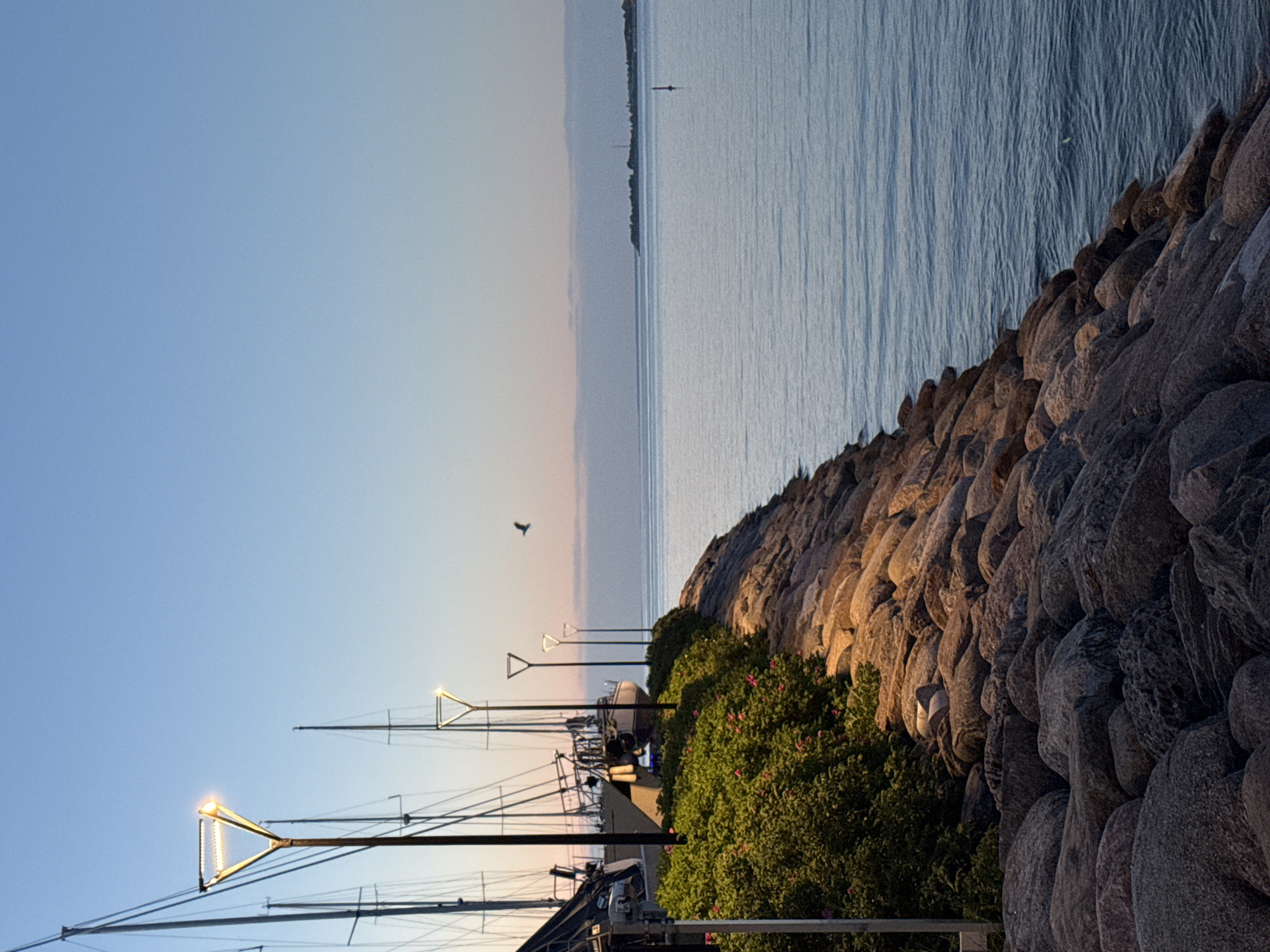 This image captures a coastal scene at dusk near Kalaranna Park in Tallinn, Estonia. The sky presents a gradient from light blue at the top to a pale orange-yellow near the horizon, marked by a horizontal band of faint, elongated clouds. A single dark bird is silhouetted in flight against the sky, positioned in the upper center.
The right two-thirds of the lower half of the image features calm, light blue-grey water with minimal surface ripples. A red cylindrical navigational buoy is visible in the water in the middle distance, slightly to the right of the vertical center.
In the foreground and extending towards the middle ground on the left, a sloping embankment is constructed from numerous large, irregular grey-brown rocks, forming a breakwater or reinforced shoreline. Behind these rocks, lush green bushes adorned with small pink flowers are visible.
Along a path above the rocky embankment, several modern streetlights with distinctive triangular LED fixtures are installed. These lights emit a warm yellow glow, illuminating sections of the bushes and the upper rocks. Behind these streetlights, the masts and portions of the hulls of multiple sailboats are visible, suggesting a marina or docking area.
On the distant horizon, a low-lying landmass or island is discernible, featuring indistinct structures that could be buildings or a tower, silhouetted against the lighter sky. No people are visible in the scene. The artificial lighting and sky coloration indicate the time of day as evening or dusk.