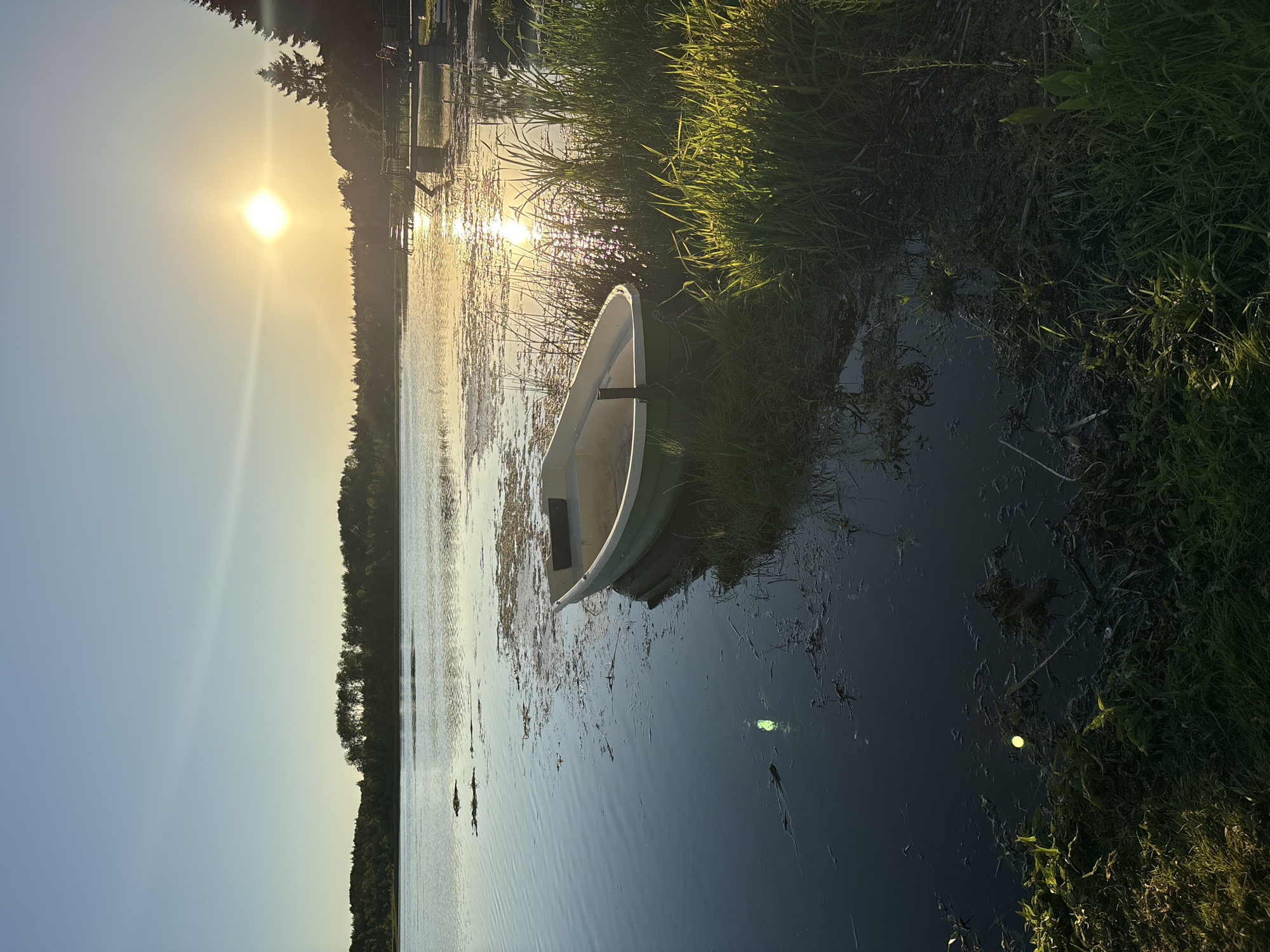 The image depicts a serene sunset scene at a lake in Chikino, Russia. In the foreground, a small, green and white rowboat is moored near the grassy shore. The water is calm, reflecting the warm hues of the setting sun, with patches of aquatic vegetation visible. In the background, a dense line of trees borders the lake, silhouetted against the bright sky. The sun, a glowing orb of yellow and orange, is low on the horizon, casting a radiant glow across the water and the sky. A wooden dock with a set of stairs leading into the water is visible to the right, also bathed in the sunset's light. The overall atmosphere is tranquil and peaceful, typical of a summer evening in the Russian countryside.