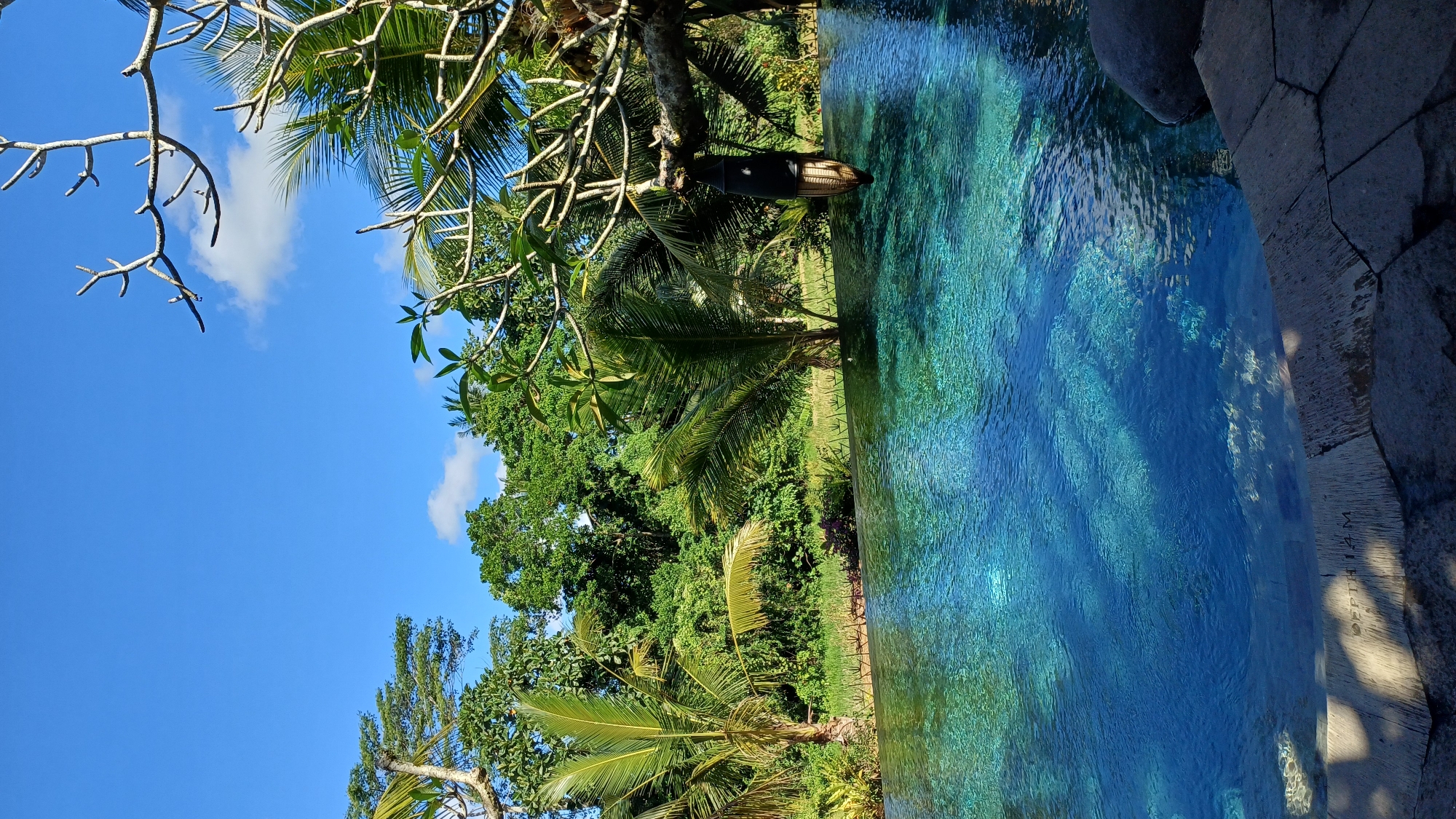 The image, possibly taken in Ubud District, Indonesia, shows a swimming pool with clear turquoise water bordered by stone. Lush tropical foliage, including palm trees and various green plants, surrounds the pool area. A tree branch extends over the pool, with a structure hanging from it. A bright blue sky with a few scattered clouds is visible above the trees. The perspective of the image is slightly tilted. The edge of the pool has text visible which reads 'DEPTH 1.4 M'.