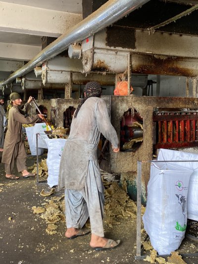 In a manufacturing facility in Kandahar, Afghanistan, two men are at work amidst industrial machinery. The facility's floor is covered with clumps of yellow-beige material. One man, dressed in a brown tunic and trousers, and wearing a green head covering, uses a long pole to manipulate a substance inside a part of the machinery. Another man, wearing a grey tunic and trousers, stands with his back to the camera, appearing to push something into the machinery. Large white sacks, one emblazoned with a cow graphic and what looks like the symbol of a cow, are visible to the right. The machinery above has the appearance of being dirty or covered in residue.