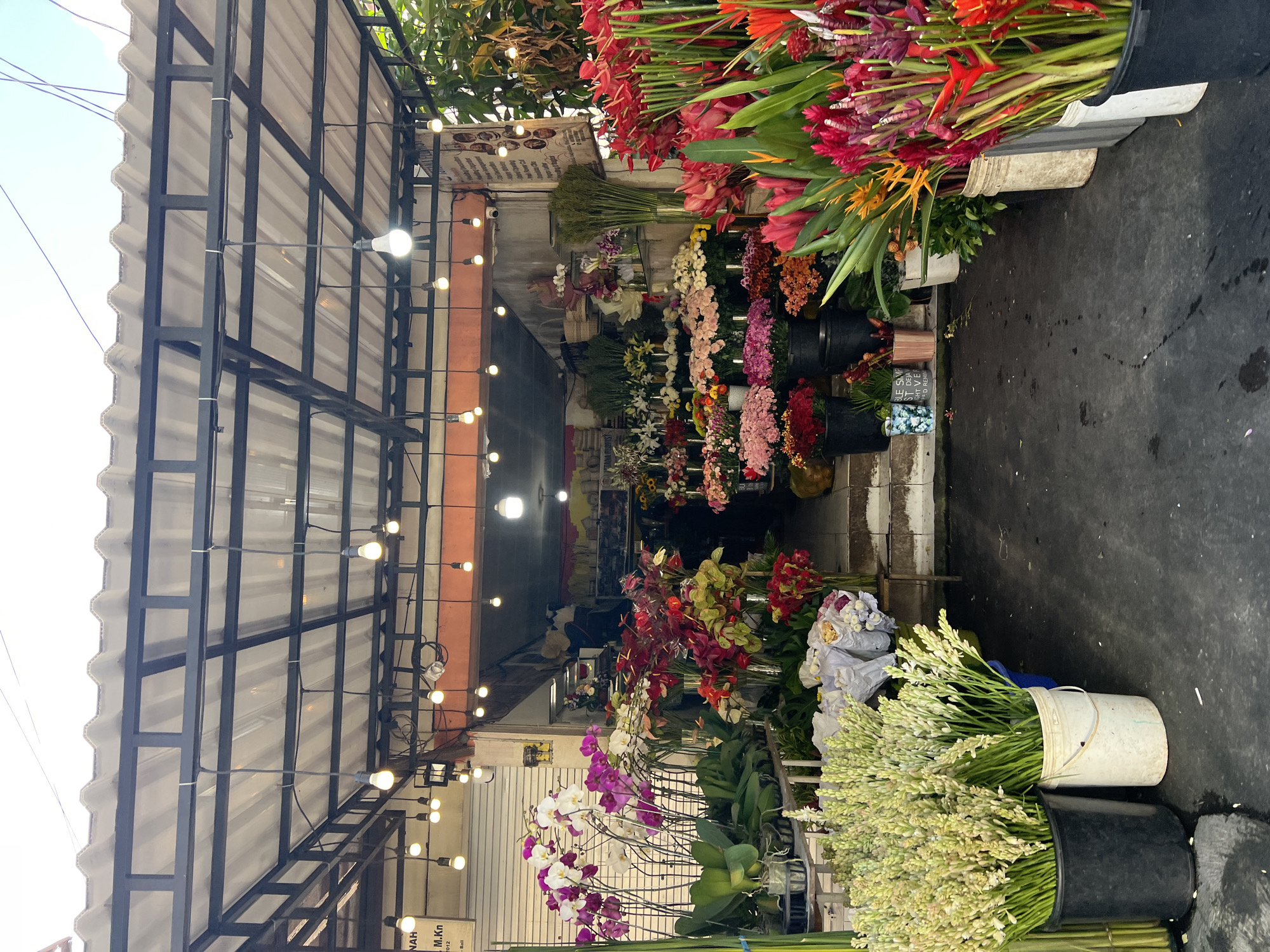A bustling flower stall is captured in a frontal, medium shot under a corrugated metal awning supported by a dark metal frame. The awning is lined with numerous incandescent light bulbs, some illuminated, casting a warm glow on the scene. The stall is overflowing with a vibrant array of flowers.
In the foreground, to the left, are two large buckets, one black and one white, filled with tall, pale green and white flowers, possibly tuberose. To the right, a dense display of bright red and deep burgundy heliconia flowers dominates, their fiery bracts reaching upwards. Interspersed are orange and yellow tropical flowers.
Behind the foreground, the stall continues deeper into the frame, showcasing a variety of other floral arrangements. Pink and purple orchids are prominently displayed on the left, with lush green leaves. Various other flowers in shades of pink, red, yellow, and white are arranged in buckets and vases. In the background, shelves are visible, holding more flowers and some decorative items. A person, appearing to be a shopkeeper, is partially visible within the stall, wearing dark clothing and looking towards the camera.
The ground in front of the stall is a dark, wet asphalt or concrete surface, with scattered fallen petals and leaves. The overall impression is one of abundance and vibrant color, typical of a flower market.
The location is identified as a flower stall in the Ubud District, Indonesia.