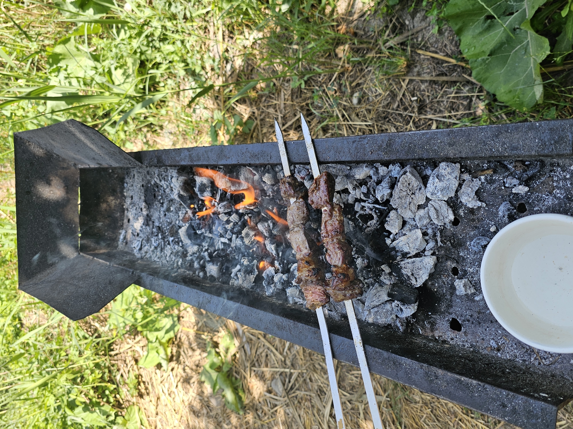 In Ден-Булак 2, Kyrgyzstan, a close-up, overhead shot captures a metal brazier filled with hot coals and flames, over which two metal skewers of meat are being grilled. The brazier sits on dry, straw-like ground with green foliage visible in the background. A small white bowl containing a pale liquid is positioned at the bottom left of the brazier. The scene appears to be outdoors, likely in a rural or natural setting.