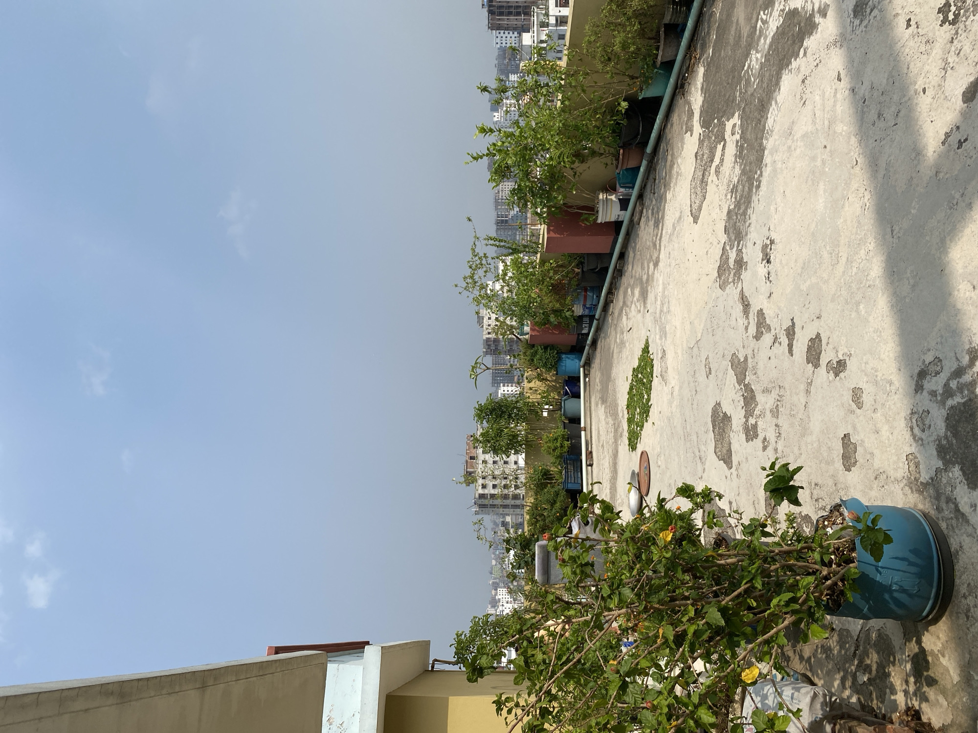 A rooftop view, likely in Dhaka, Bangladesh, shows a series of potted plants lining the edge of a weathered, concrete rooftop. The plants vary in size and type, suggesting a rooftop garden. In the background, the urban landscape of Dhaka is visible, with numerous buildings of varying heights and architectural styles. The sky is light blue with minimal cloud cover, and the lighting suggests it is daytime. The rooftop surface exhibits discoloration and wear, indicating exposure to the elements.