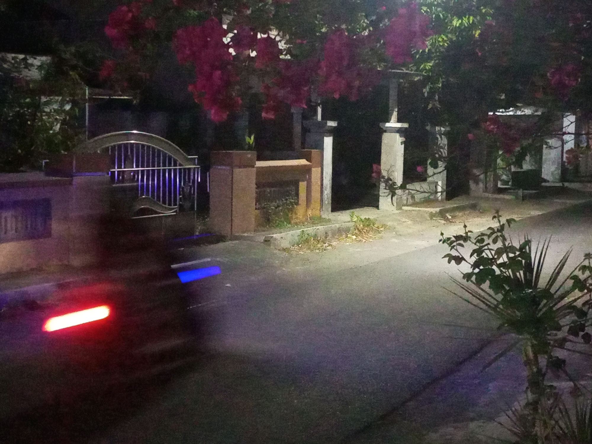 The image depicts a street scene at night in Ngasem, Indonesia. A vehicle's motion blur is visible in the foreground, with a red light on the left and a blue light further down the road. To the left of the road, there is a metal gate with vertical bars and an arched top, situated next to a brick pillar and a low wall. Behind the gate, a building structure is partially visible. In the background, a large tree with dark pink flowers is in bloom, its branches hanging over a pathway and a stone pillar. The ground consists of asphalt on the road and a lighter surface along the side, with some scattered leaves and vegetation. The overall lighting suggests it is nighttime, with artificial lights illuminating parts of the scene.