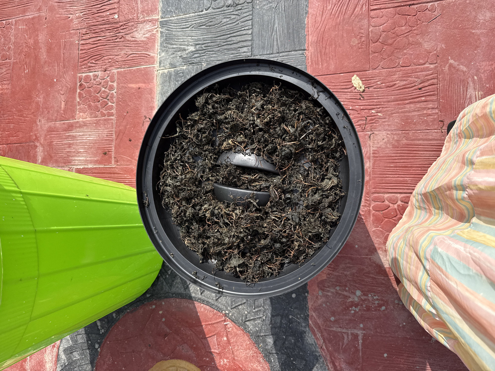 This is an overhead, high-angle shot of a black plastic planter filled with dried plant matter. The planter is positioned on a patio with red and gray patterned tiles. To the left of the planter is a bright green plastic container. To the right of the planter is a folded striped fabric, predominantly in pastel colors of pink, yellow, and blue.
The dried plant matter in the planter appears to be compost or dried leaves. Two dark gray, oval-shaped objects are partially submerged within the plant matter, possibly part of the planter's design or an item placed within it. The lighting suggests it is daytime, with strong shadows indicating bright sunlight. The patterned tiles have a rustic, textured appearance, with some areas resembling wood grain and others a cobblestone pattern.
The overall scene appears to be outdoors, likely in a residential or garden area. The presence of the planter, the green container, and the tiled patio suggest a setting related to gardening or outdoor living. The time of day appears to be midday due to the harsh sunlight and distinct shadows. There is no visible text in the image.