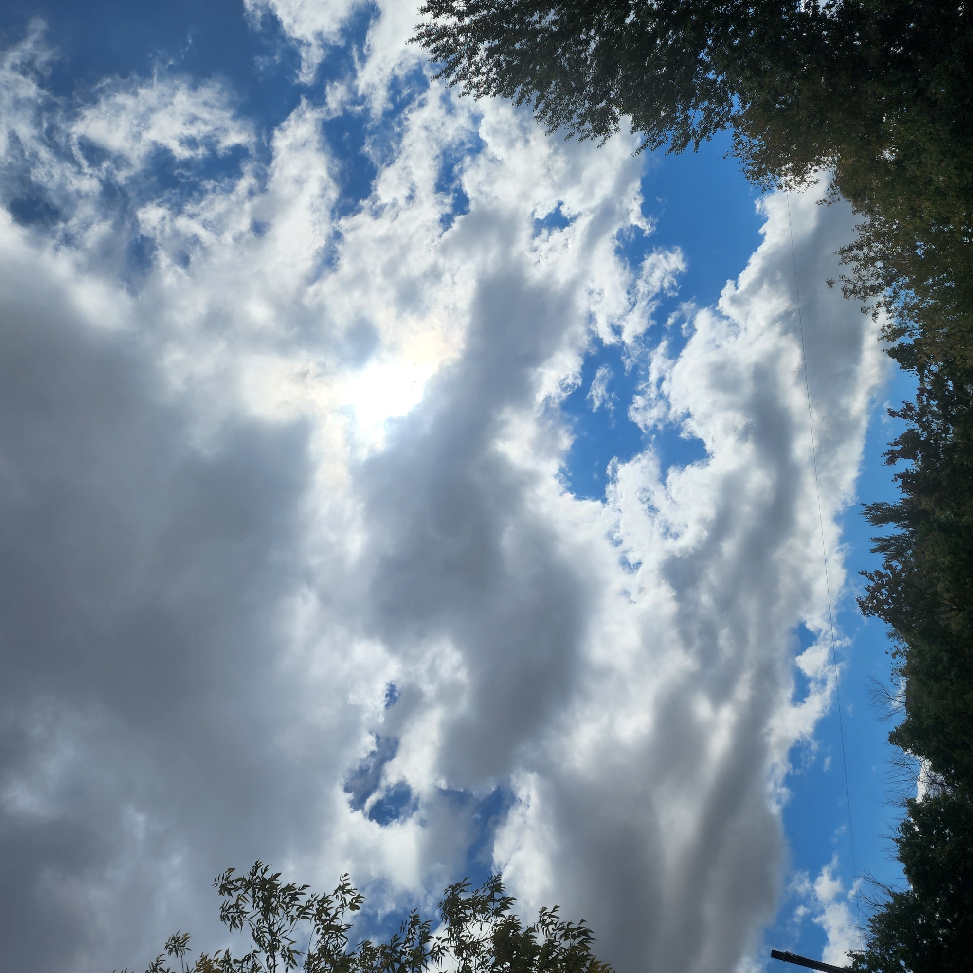 The image depicts a cloudy sky with patches of blue visible. Sunlight is breaking through the clouds, creating bright areas. The top portions of trees are visible along the bottom of the frame, with foliage that appears to be transitioning to autumn colors. Power lines are also visible stretching across the scene. There are no people or specific landmarks identifiable in the image. The scene suggests an outdoor environment, possibly a park or residential area, with trees and a view of the sky. No specific location in Moscow, Russia can be determined from the visual information provided.