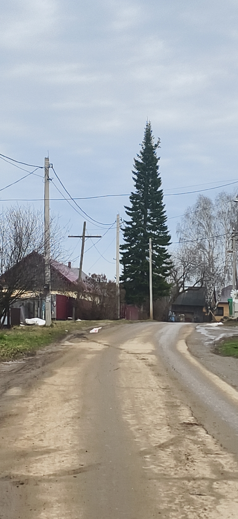 The image depicts a rural road winding through a village, likely in the vicinity of Фоки, Russia. The road is unpaved, with visible mud and puddles. Houses line the sides of the road, varying in style and condition, with some showing signs of disrepair. Power lines and utility poles are present, and a tall evergreen tree dominates the center view. Patches of snow are visible on the sides of the road. The sky is overcast. There are no people visible in the image.