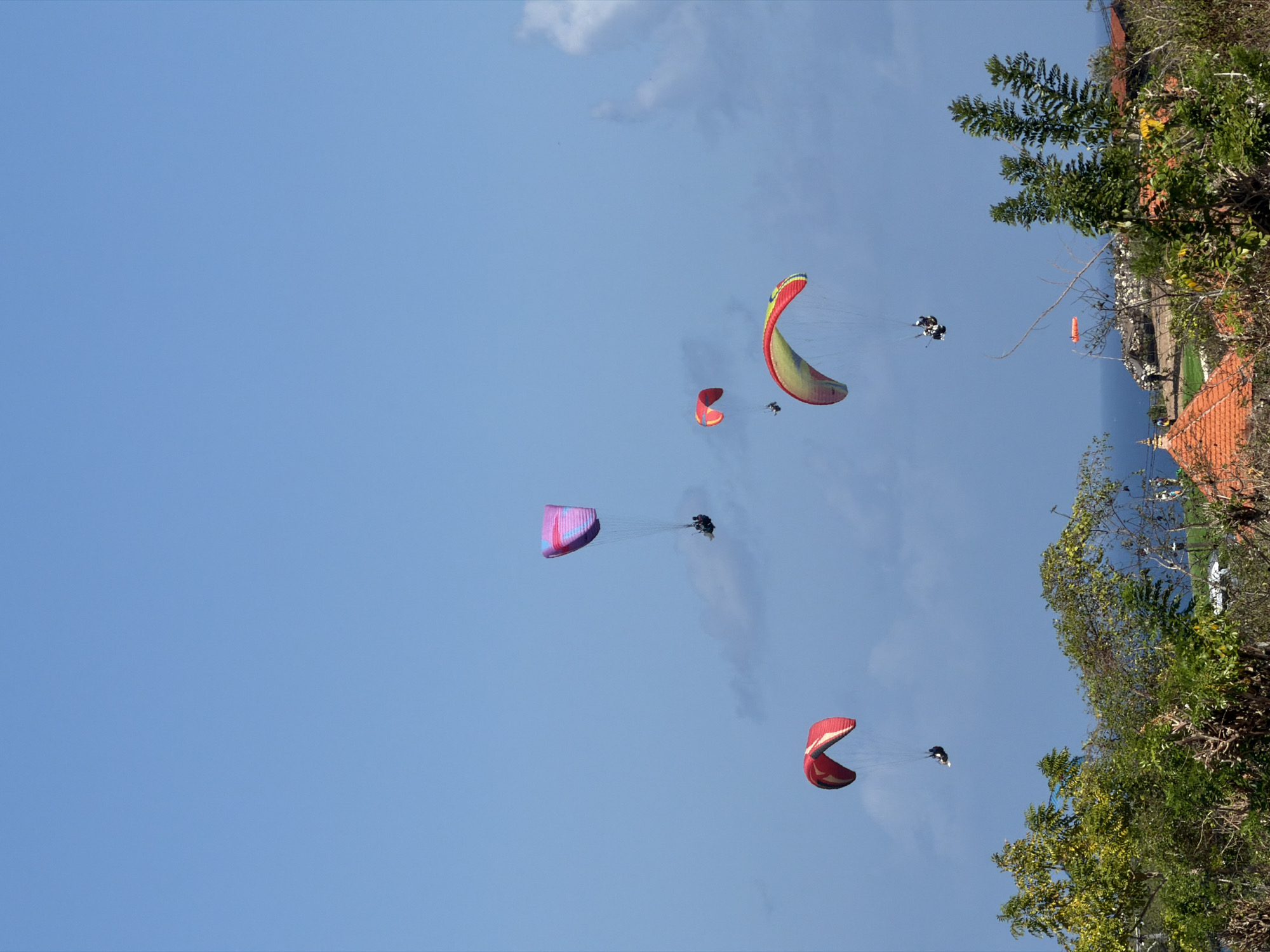 In Kuta Selatan, Indonesia, under a clear blue sky with scattered clouds, four paragliders are airborne above a lush green landscape and buildings with orange tiled roofs. The paragliders, each attached to a colorful parachute-like wing, are in various positions. One paraglider with a pink and purple wing is higher in the sky, with two individuals visible beneath it. Another paraglider with a red and yellow wing is to the right, also with two people suspended below. A third paraglider, primarily red, is in the lower left of the frame, with a single person attached. The fourth paraglider, a smaller orange one, is seen in the distance, closer to the water. The foreground is dominated by dense green foliage, trees, and shrubs, with glimpses of man-made structures suggesting a village or resort area. The ocean is visible in the far background, meeting the horizon under the expansive sky.