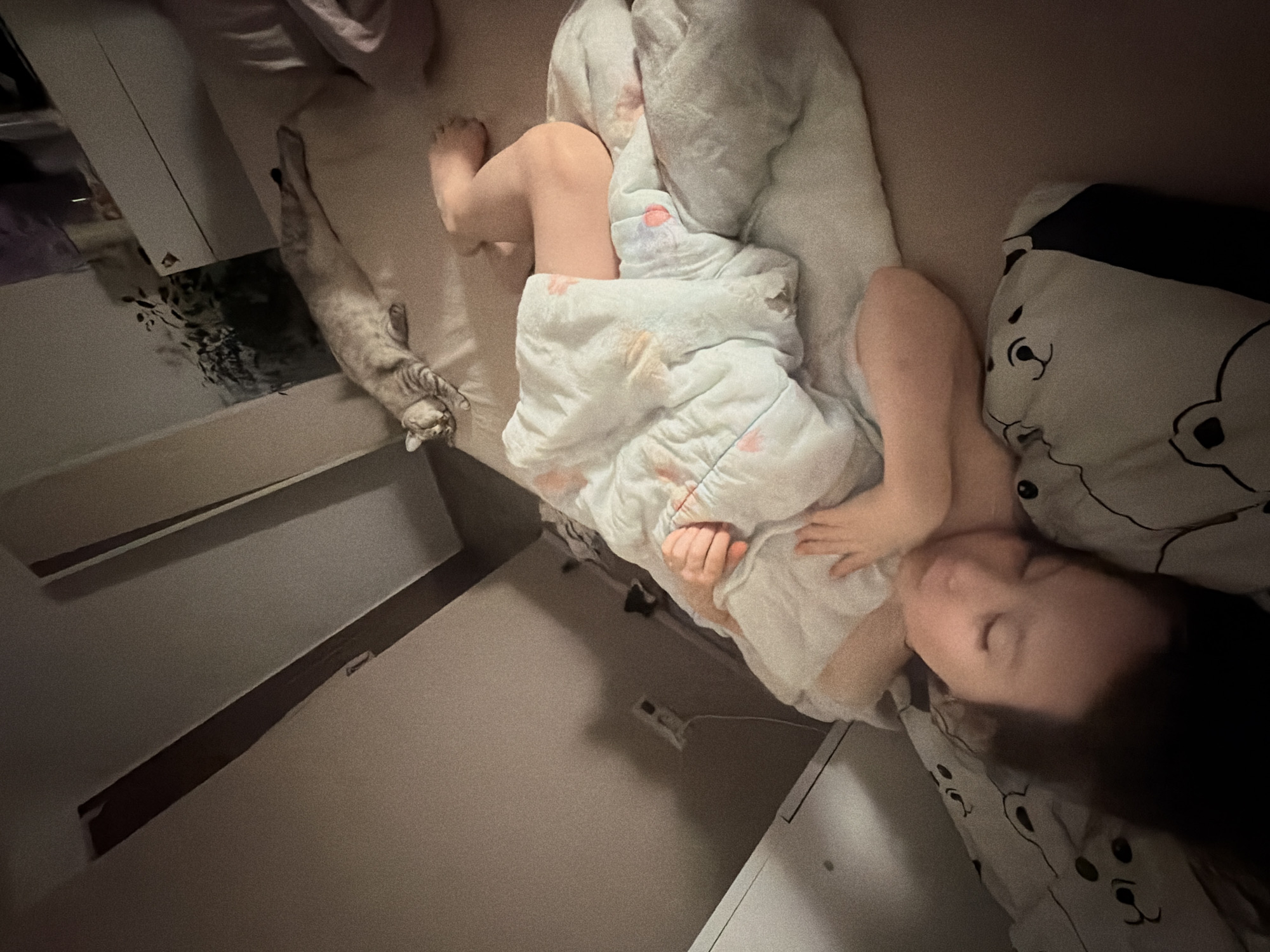 A child is sleeping in a bed with a white patterned comforter and a pillow with a bear face design. A gray cat is lying next to the bed. The scene is inside a bedroom, with a white nightstand and wall visible. The exact location within Perm, Russia, cannot be determined from the image.