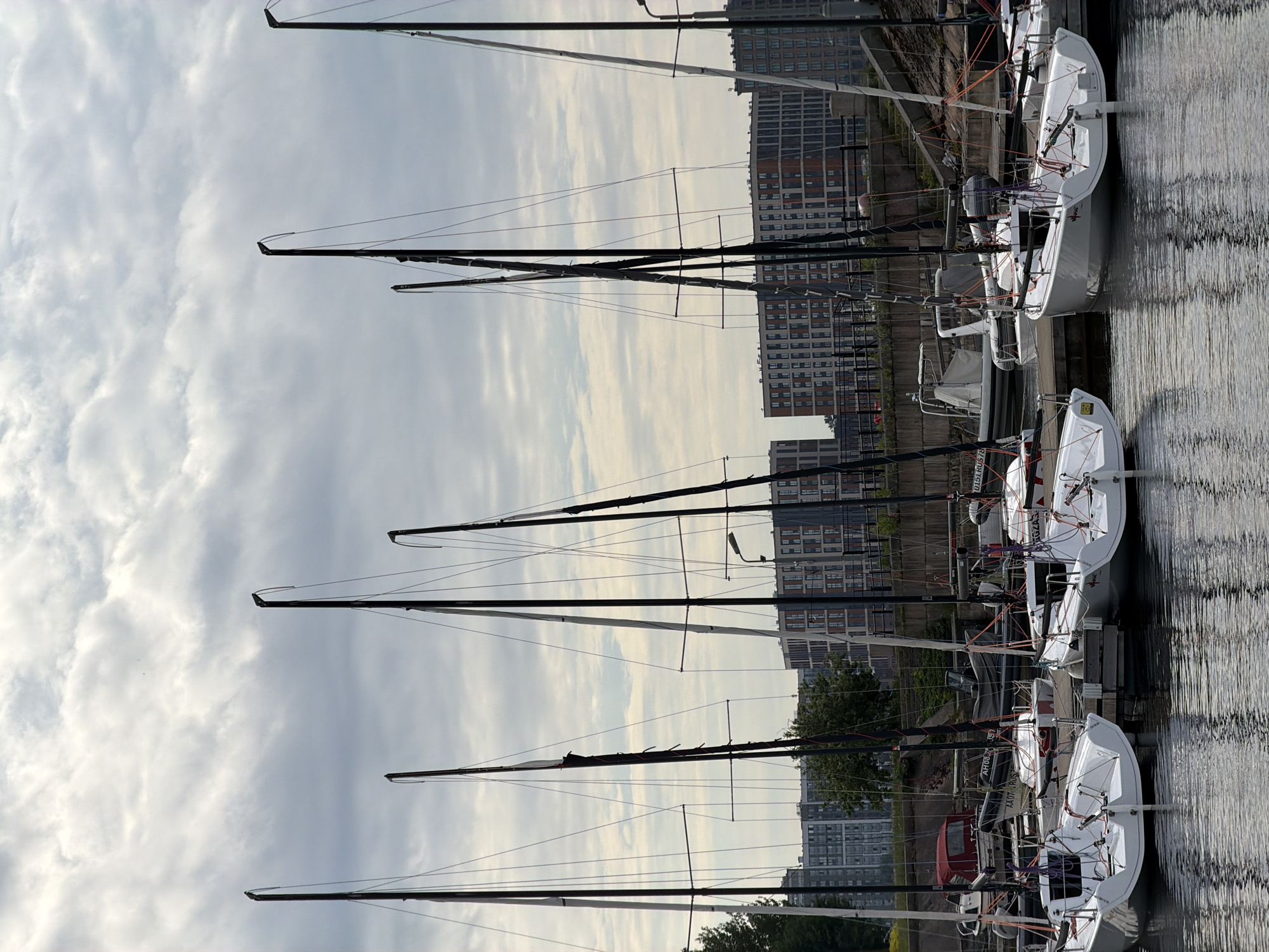 The image depicts a fleet of white sailboats docked in a marina on a cloudy day. The boats, each with a tall, black mast and rigging, are lined up along a wooden pier. In the background, modern multi-story apartment buildings with red brick accents and numerous windows are visible, suggesting an urban setting. The water in the foreground reflects the sky and the sailboats. The scene is likely located in Saint Petersburg, Russia, given the architectural style of the buildings and the presence of a marina. There are no people visible in the image. The overall atmosphere is calm and serene.