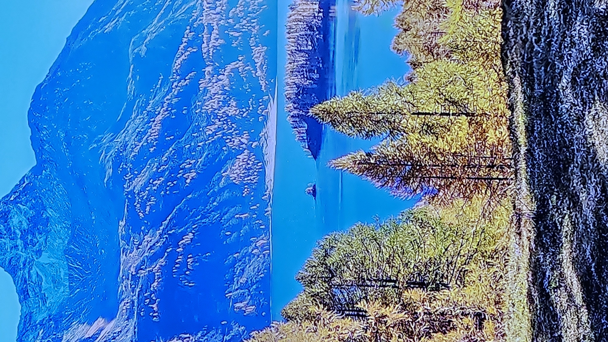 A digital image depicts a serene alpine landscape under a clear blue sky. The foreground is dominated by a dense forest of coniferous trees with vibrant green and yellow foliage, suggesting an autumn season. The ground in the foreground appears to be covered in dry grass and shadows.
Beyond the trees, a large, calm body of water, likely a lake, reflects the deep blue of the sky. A small, rocky island or promontory is visible in the middle distance, rising from the water.
In the background, majestic mountains rise sharply, their slopes covered in a patchwork of snow and rocky terrain. The mountains exhibit a blue hue, characteristic of distant formations. The overall impression is one of natural beauty and tranquility. The image appears to be a still photograph, with no people or discernible human activity present. The origin of the image is unknown.