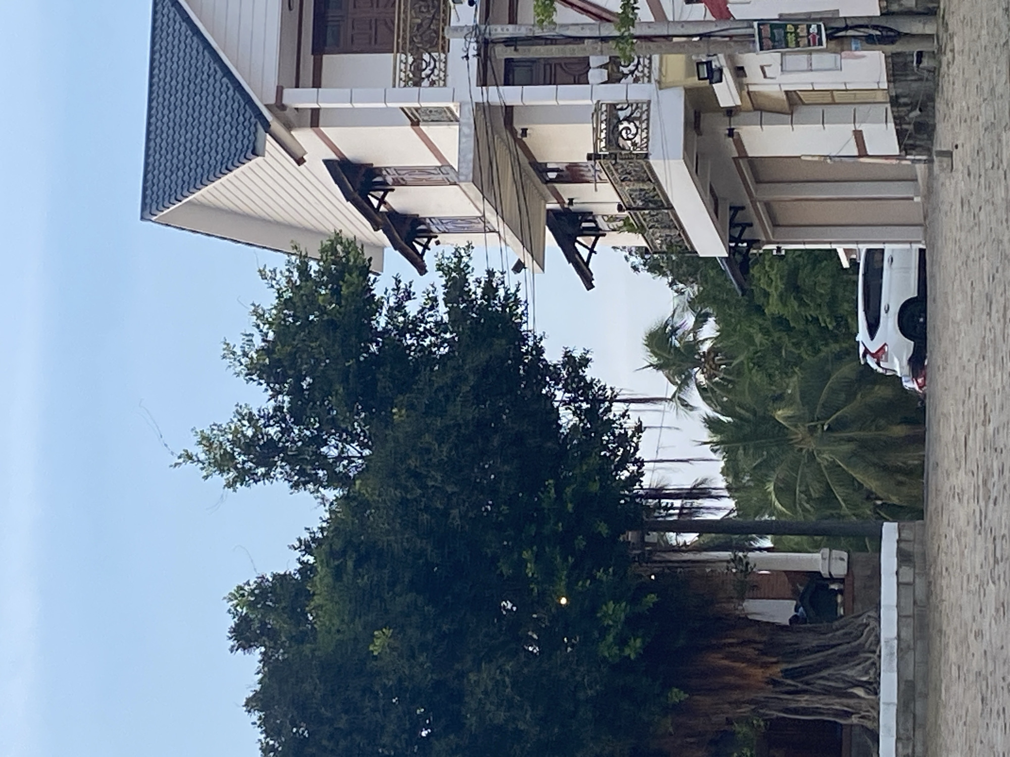 A photograph of Phu Thuy Ward, Vietnam, shows a three-story building with a dark tiled roof and multiple balconies adorned with decorative metalwork. A large, leafy tree dominates the midground, obscuring the view behind it. Palm trees rise in the distance, suggesting a tropical environment. A white car is parked along the street on the right side of the frame. The street is paved with light-colored stones. A utility pole with wires runs along the side of the building. A sign is visible on the building’s top floor.