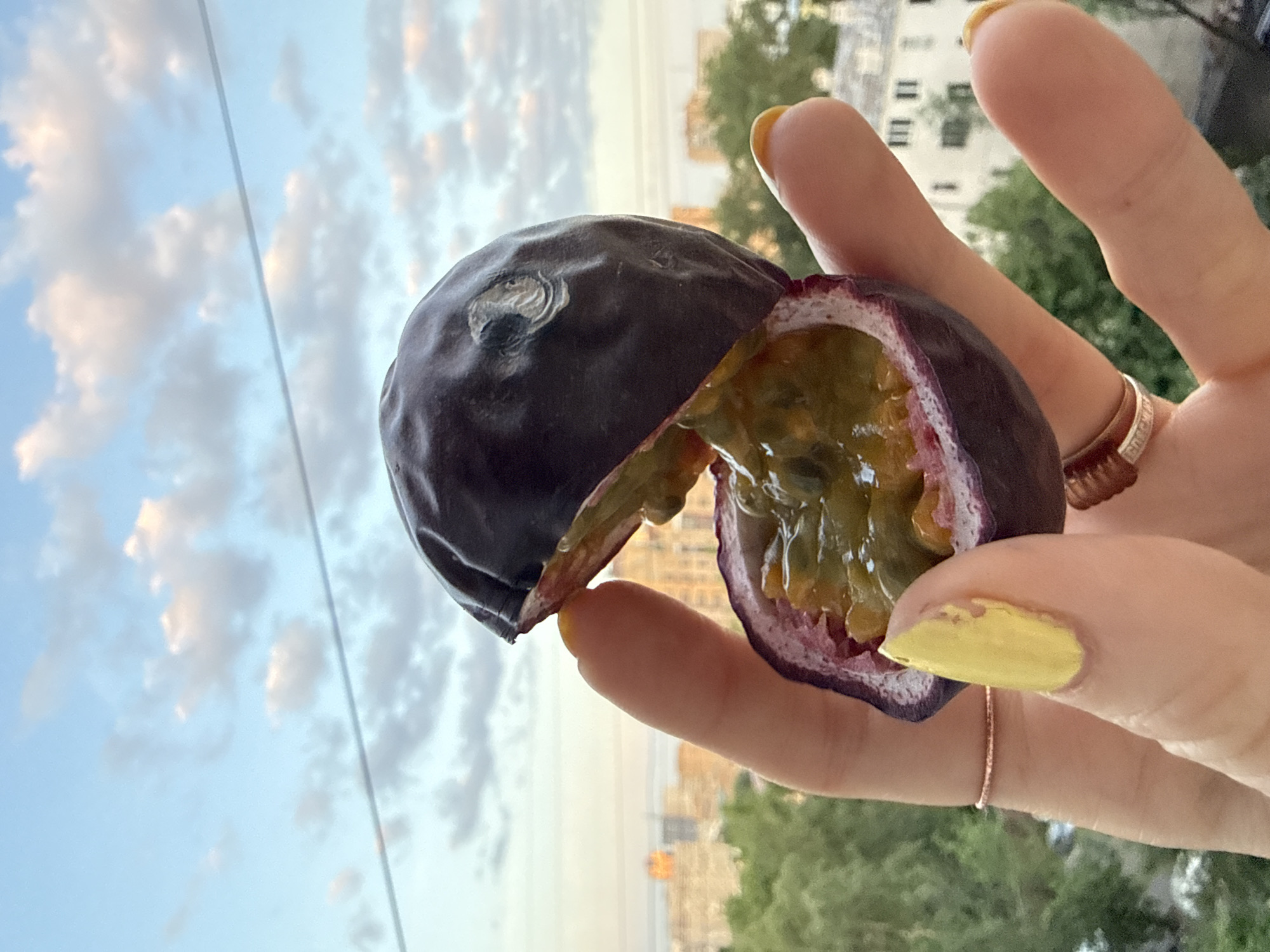 A hand holds a split passion fruit against a backdrop of a cityscape in Moscow, Russia. The passion fruit, dark purple on the outside, reveals a yellow, seedy pulp. The hand, adorned with rings and yellow nail polish, suggests a close-up perspective. Buildings and greenery hint at the urban setting below a cloudy, blue sky. The lighting indicates the photo was taken outdoors, possibly at dusk or dawn.