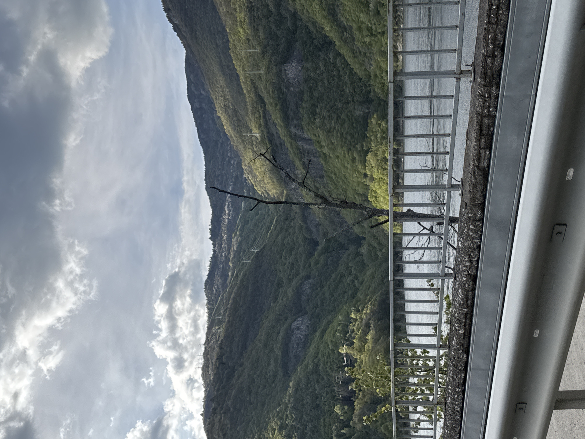 The image shows a landscape view from what appears to be a roadside. There's a mountain covered in lush green vegetation occupying the left side of the frame. A cloudy sky sits above the mountain. A gray metal safety barrier runs horizontally along the bottom of the frame. Behind the barrier, a body of water can be seen through a metal fence. A dead tree stands between the fence and the water. The image suggests a location with natural mountainous terrain and a body of water, likely near a road. There is no information to suggest a specific location in Mihalkovo, Bulgaria.