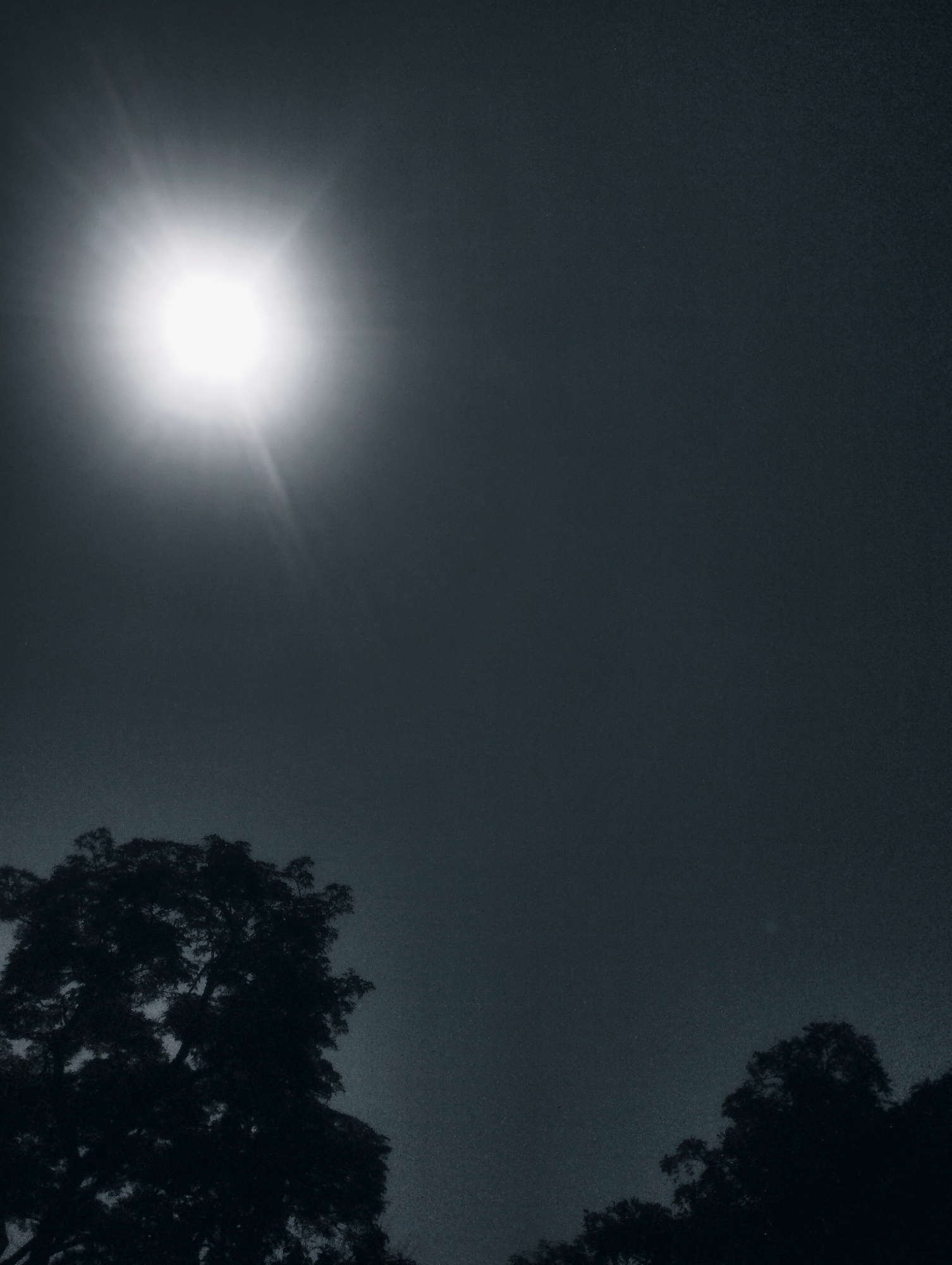 The image is a low-angle, black and white photograph of a bright sun in a dark, overcast sky. The sun, positioned in the upper left quadrant, is overexposed, creating lens flare and bright rays extending outwards. Silhouetted against the sky are the upper branches and foliage of two trees. The tree on the left is larger and more prominent, with a dense canopy. The tree on the right is smaller and less defined. The sky has a grainy texture, suggesting a low-light or high-ISO setting. The overall mood is dramatic and somewhat ominous due to the dark sky and high contrast. The location is identified as the city of Jos, Nigeria, implying the presence of tropical trees and possibly the atmospheric conditions common to that region. There are no people or discernible human activity visible in the frame.