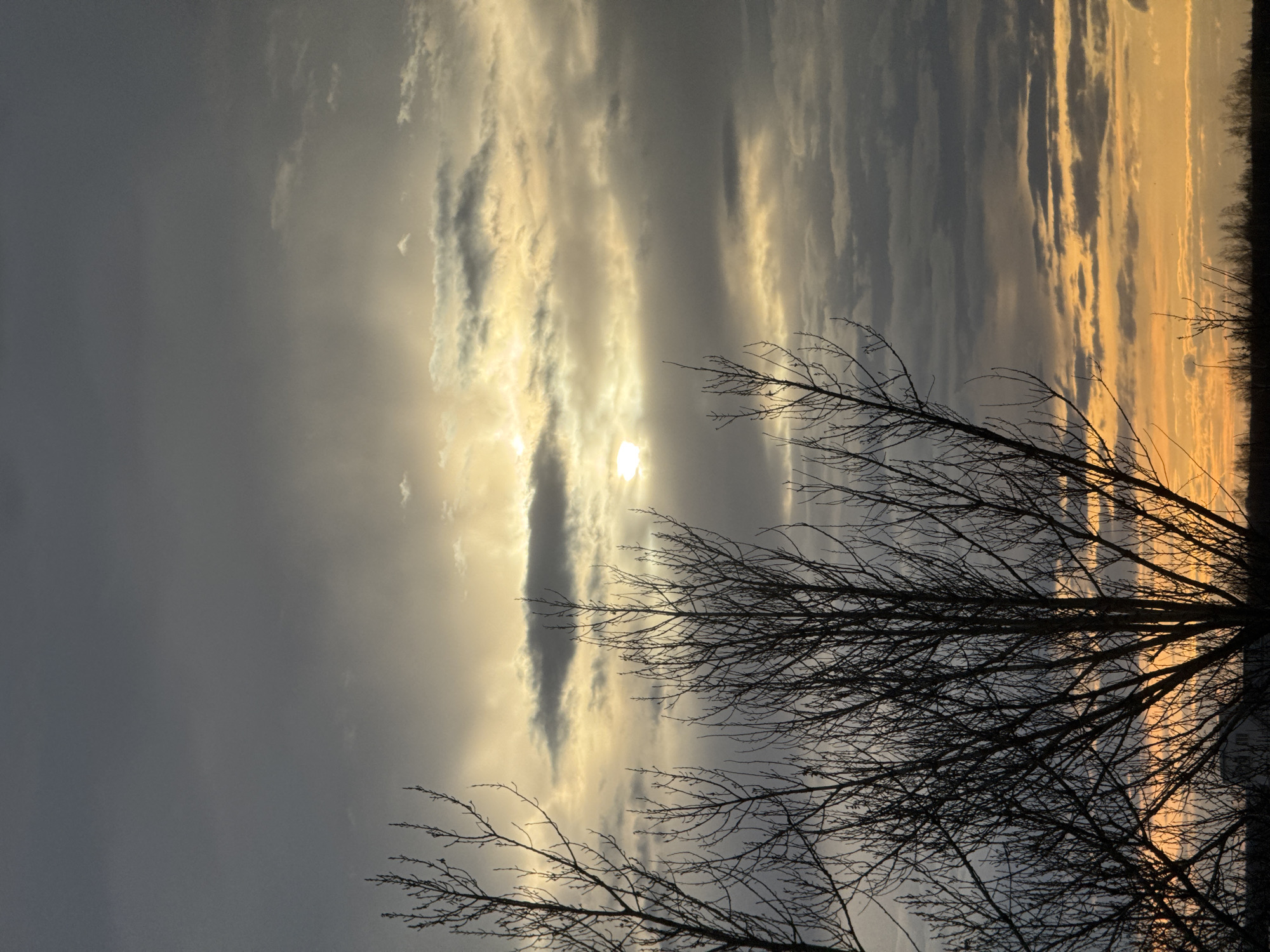 The image displays a dramatic outdoor scene, likely at sunrise or sunset, dominated by a dynamic sky and silhouetted tree branches. The sky is filled with clouds, some of which are brightly illuminated by the low-lying sun, creating streaks of golden and warm yellow light. The sun itself is partially obscured by a long, dark cloud formation near the center-right of the frame. To the left, the sky is predominantly a muted grey, while towards the far right, it transitions into vibrant orange and yellow hues, suggesting the sun is setting or rising in that direction.
In the foreground, the intricate, bare branches of a tree are silhouetted against the bright sky, occupying a significant portion of the right and lower-middle areas of the image. These branches are devoid of leaves, indicating autumn or winter. In the far distance, a subtle, dark treeline is visible along the horizon on the right side, further emphasizing the natural, open landscape. The overall atmosphere conveyed is one of tranquility and natural beauty, characterized by the interplay of light and shadow during a specific time of day. There is no visible text in the image.