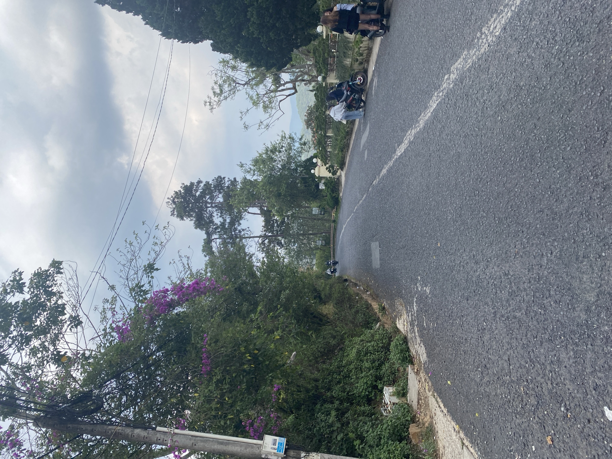 The image depicts a street scene in Da Lat, Vietnam. A narrow asphalt road with a white dividing line curves through the frame. On the right side of the road, the asphalt gives way to a concrete curb and a grassy verge. On the left side, lush greenery includes trees, bushes, and flowering vines with purple blossoms, intertwined with utility poles and power lines. Further up the road, multiple parked motorbikes are visible, with people standing nearby. In the background, there are buildings partially obscured by trees. The sky is overcast with gray and white clouds.