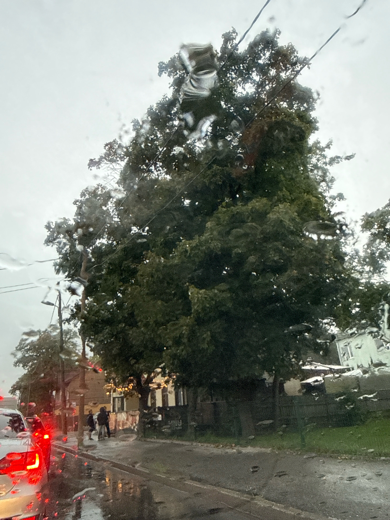 This is a slightly blurry, close-up, exterior, daytime, eye-level, medium shot of a street in Tallinn, Estonia, during a rain shower. The foreground is dominated by a car's taillights and a wet road reflecting the taillights and other lights. In the mid-ground, a large tree with dense green foliage stands prominently. Behind the tree, a street with a sidewalk is visible, with a few people standing and walking on it. Buildings line the street. The sky is overcast and gray, contributing to the gloomy atmosphere. The overall impression is one of a wet and somewhat dreary day in an urban setting.