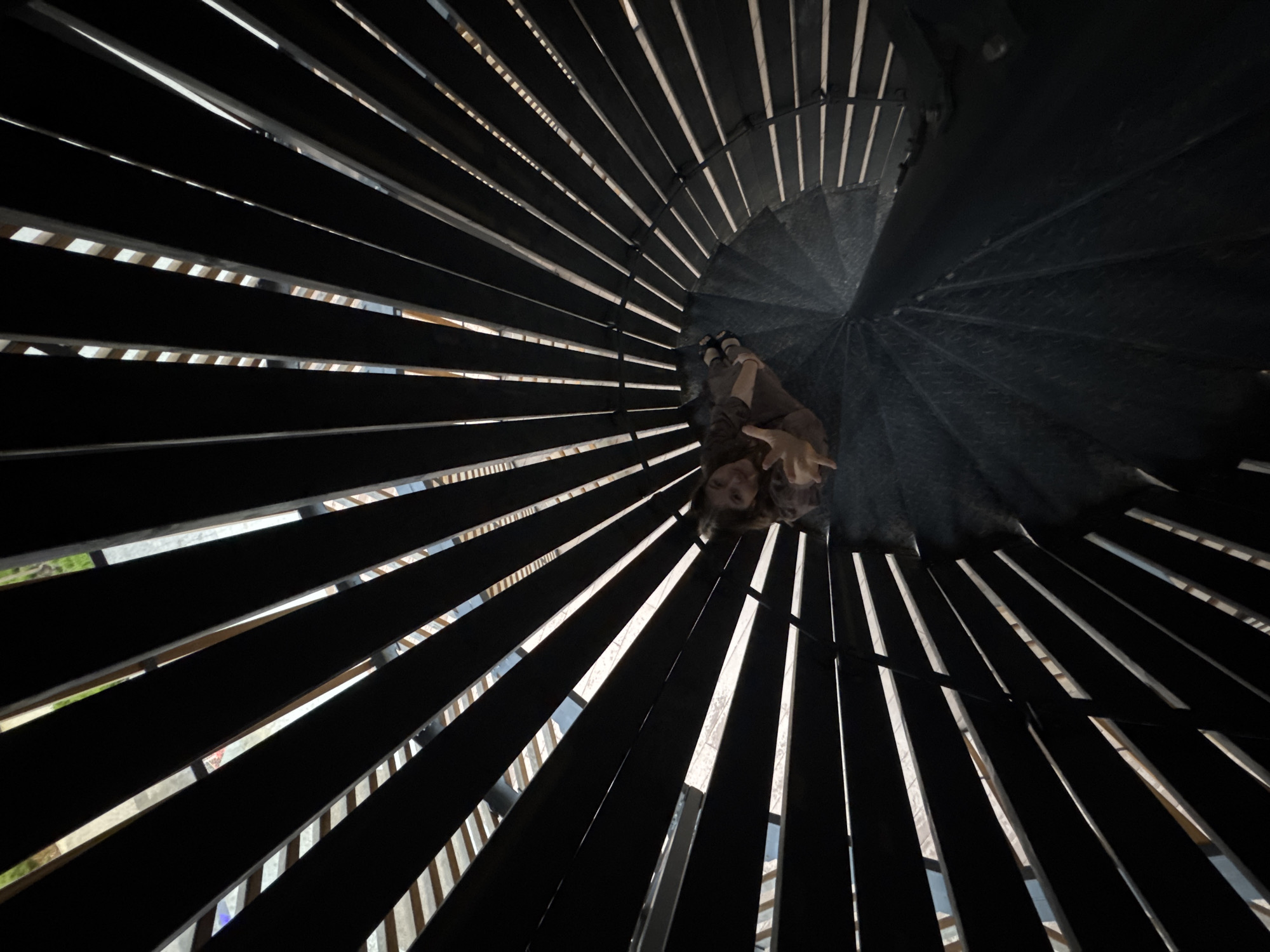 Captured from a low angle, the scene features a spiral staircase in the Rotunda Pavilion of the Gribushin House in Perm, Russia. The staircase is constructed with dark treads and lighter-toned risers, creating a contrast that highlights the structure's circular design. Two people are visible towards the center of the spiral, with one possibly leaning over the other. The overall lighting is dim.