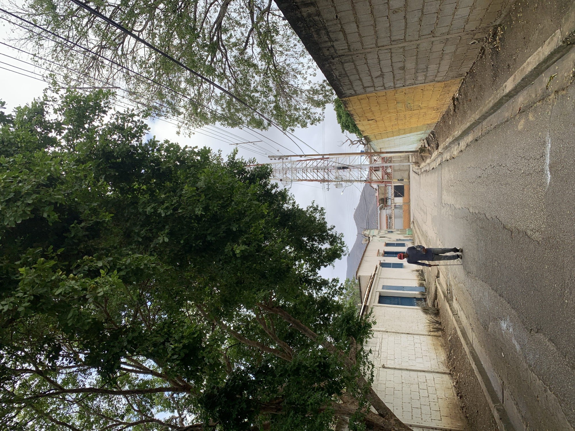 The image depicts a narrow street or alleyway in Santa Ana, Venezuela, viewed in a portrait orientation looking down the street. The sky is overcast, suggesting a cloudy day.
On the left side of the street, a large, mature tree with dense green foliage heavily overhangs the path, its branches and leaves filling a significant portion of the upper-left frame. Beneath the tree, a white building with a textured block pattern wall and multiple windows with blue shutters lines the street. Further down, more residential-style buildings are visible.
The street itself is paved with asphalt, showing some cracks and wear. A concrete curb separates the roadway from a dirt and gravel strip alongside the buildings.
On the right side of the street, a multi-textured wall forms the edge of the path. The lower section of this wall is a distinct yellow, while the upper part is constructed from grey concrete blocks. Beyond this wall, in the background, a large metal lattice tower, possibly a communications or utility tower, rises prominently against the sky. Overhead power lines crisscross the sky, partially obscured by the tree branches.
One person is visible on the right side of the street, walking away from the viewer. They are wearing dark trousers, a dark long-sleeved shirt, and a red or orange hat. No specific activity beyond walking is discernible. No visible text is legible in the image.
