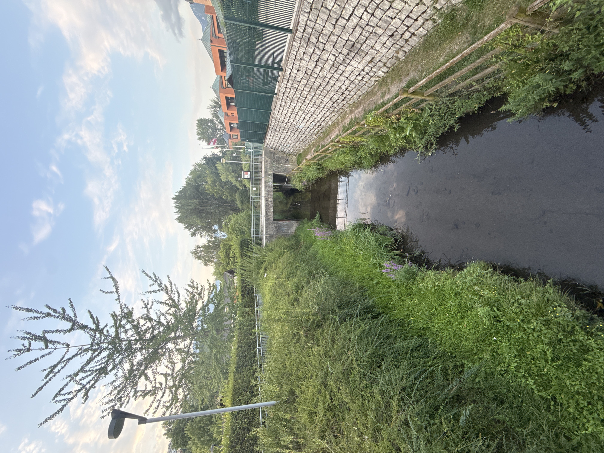 The image shows a narrow, dark-water stream flowing through an urban area, likely in Trento, Italy, given the architectural style of the buildings and vegetation. On the left bank of the stream, there is a dense, overgrown area of green bushes and tall grass, with some small purple flowers visible. A modern-style lamppost stands tall on the far left. The stream is spanned by a concrete bridge.
The right bank of the stream features a constructed embankment made of rough, light-colored stone blocks, topped with a dark green metal fence. A narrow dirt path runs along the base of this embankment, bordered by a low wooden fence. Beyond the fence, there are more green bushes and some taller trees. In the background, across the stream, are several modern buildings with orange-tiled, multi-peaked roofs, suggesting a civic or commercial complex. Two flags are visible on poles in front of these buildings. The sky above is a pale blue with scattered white clouds, indicating it is likely daytime.