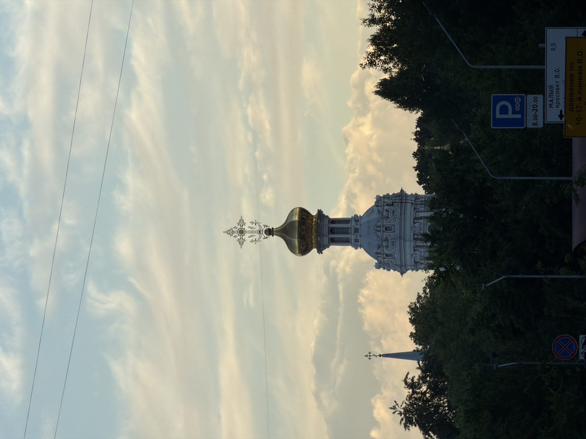 The image shows the dome of the Smolny Cathedral in Saint Petersburg, Russia, on a cloudy day. The dome is golden and topped with a cross. The cathedral is surrounded by trees and power lines are visible in the sky. A parking sign and traffic signs are also visible at the bottom of the image.