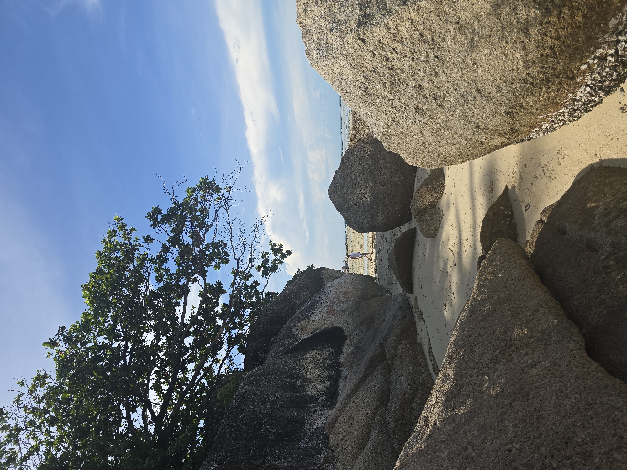 A person walks along a sandy beach in Baan Chaweng Noi, Thailand, amidst large granite boulders and lush green foliage. The sky is a clear blue with scattered white clouds, and the sun casts shadows on the sand, indicating a bright day. The boulders are scattered across the beach, some smooth and worn, others covered in barnacles and lichen. A large tree with broad leaves overhangs a cluster of rocks on the left side of the frame. The person, wearing light-colored clothing, is walking away from the viewer towards the ocean, which is visible in the distance as a shimmering horizon. The overall scene depicts a serene tropical coastal landscape.