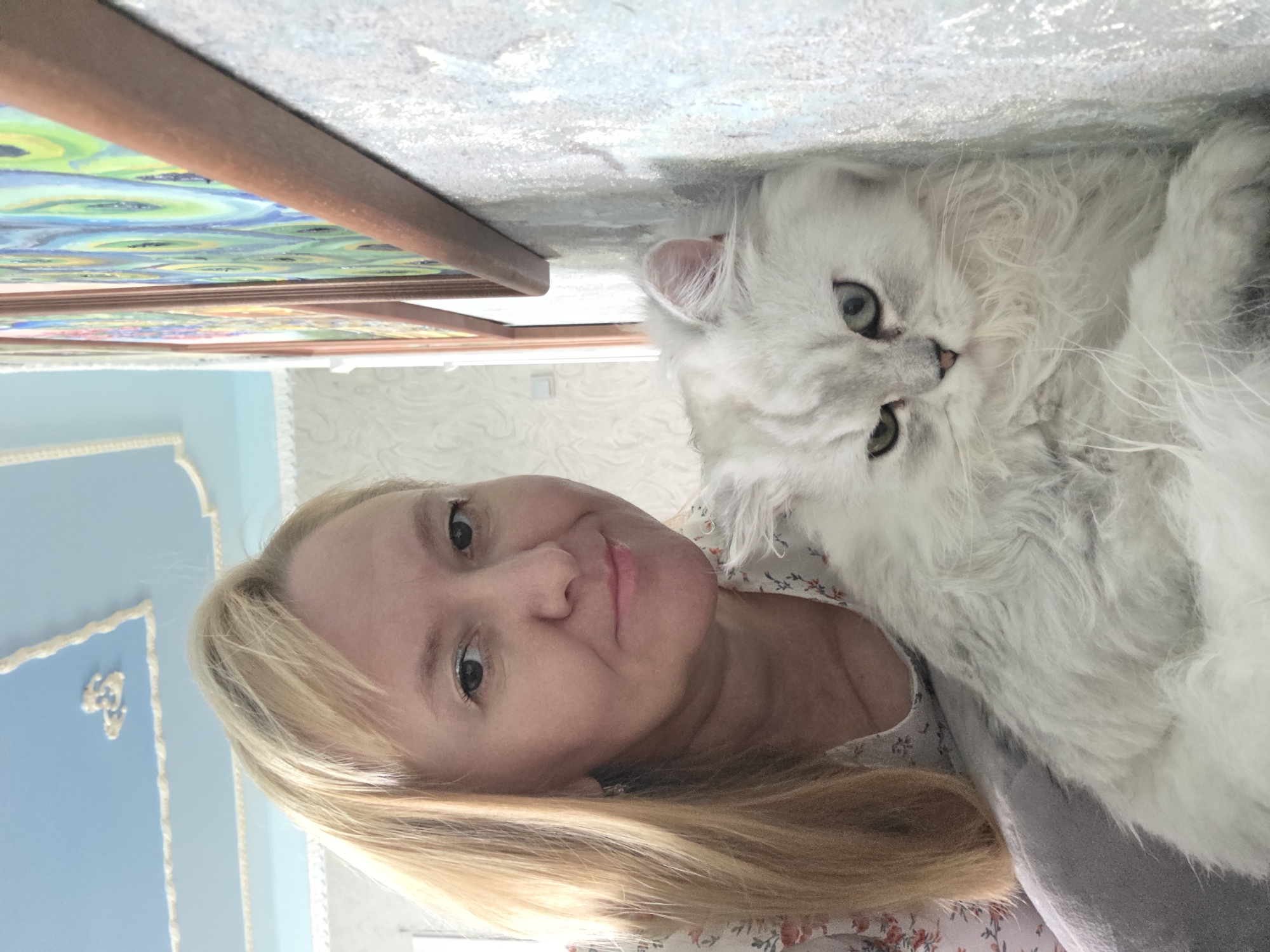 A close-up, selfie-style photograph shows a woman and a white cat. The woman, with blonde hair, is positioned in the foreground, looking towards the camera with a slight smile. The cat, a fluffy white Persian, is nestled beside her, its face turned slightly away from the camera. Both subjects are oriented sideways in the frame, as if the photo was taken while lying down.
The background suggests an indoor setting. To the left of the woman, a framed piece of art with vibrant green and blue patterns is partially visible, hanging against a textured wall. Further to the left, a light blue wall with decorative molding can be seen. The lighting appears to be natural, possibly from a window. The overall mood is relaxed and intimate, hinting at a moment of leisure between the woman and her pet. No visible text is present in the image. The context provided indicates the location as Novocheboksarsk, Russia.