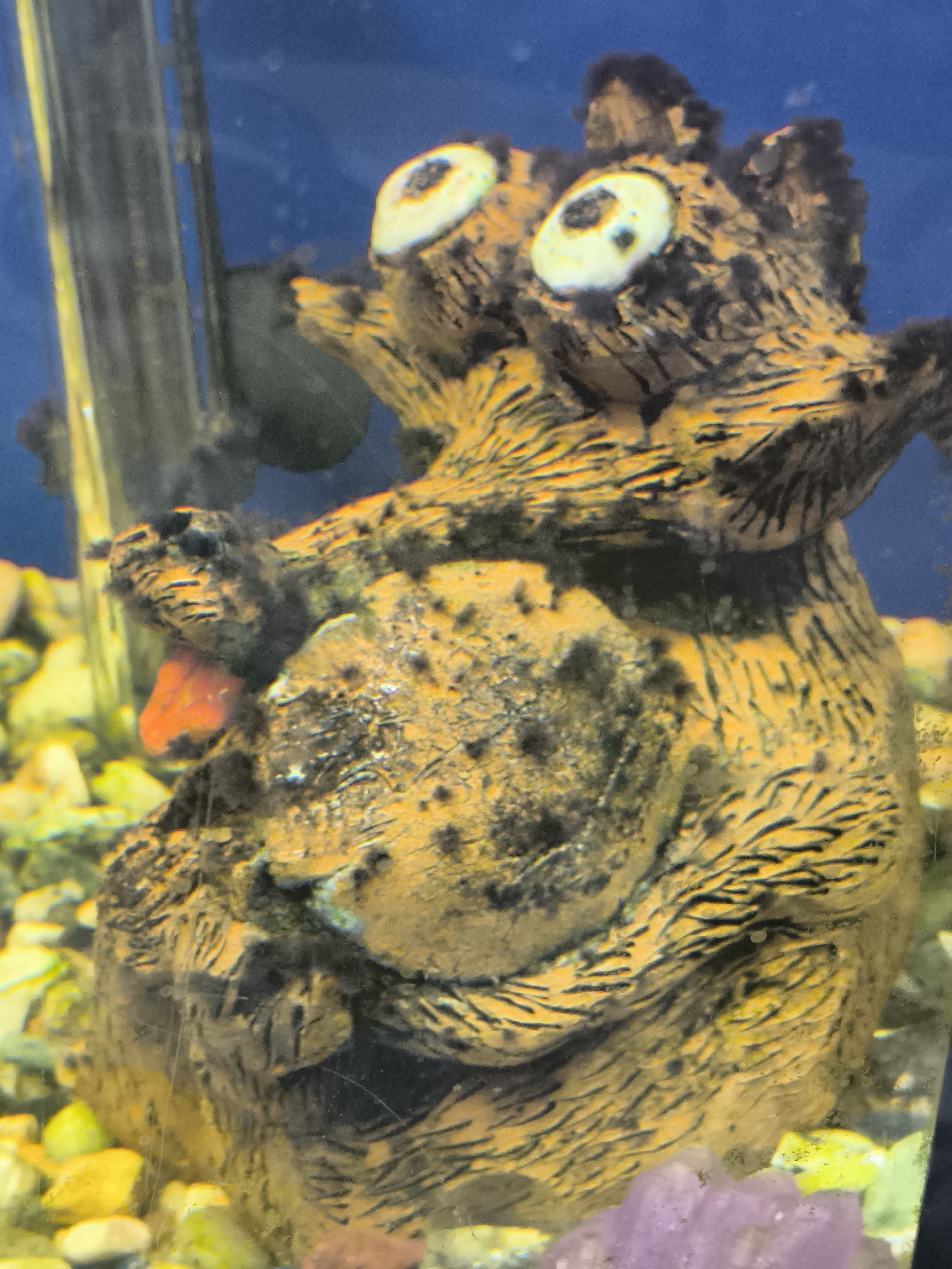 A ceramic ornament, designed to resemble a brown and orange cartoonish creature with large white eyes and black pupils, sits submerged in an aquarium. The ornament is textured with horizontal lines and darker patches, giving it a somewhat rough appearance. It has an orange protrusion on its left side, possibly representing a tongue or nose. The background of the aquarium is a dark blue, and the bottom is covered with small, colorful pebbles in shades of yellow, green, and white. There is a black, vertical object, possibly a heater or filter component, to the left of the ornament. The scene is lit, highlighting the details of the ornament and the surrounding aquarium environment. This image does not contain any information that would allow for its location to be identified within the city of Klaipėda, Lithuania.