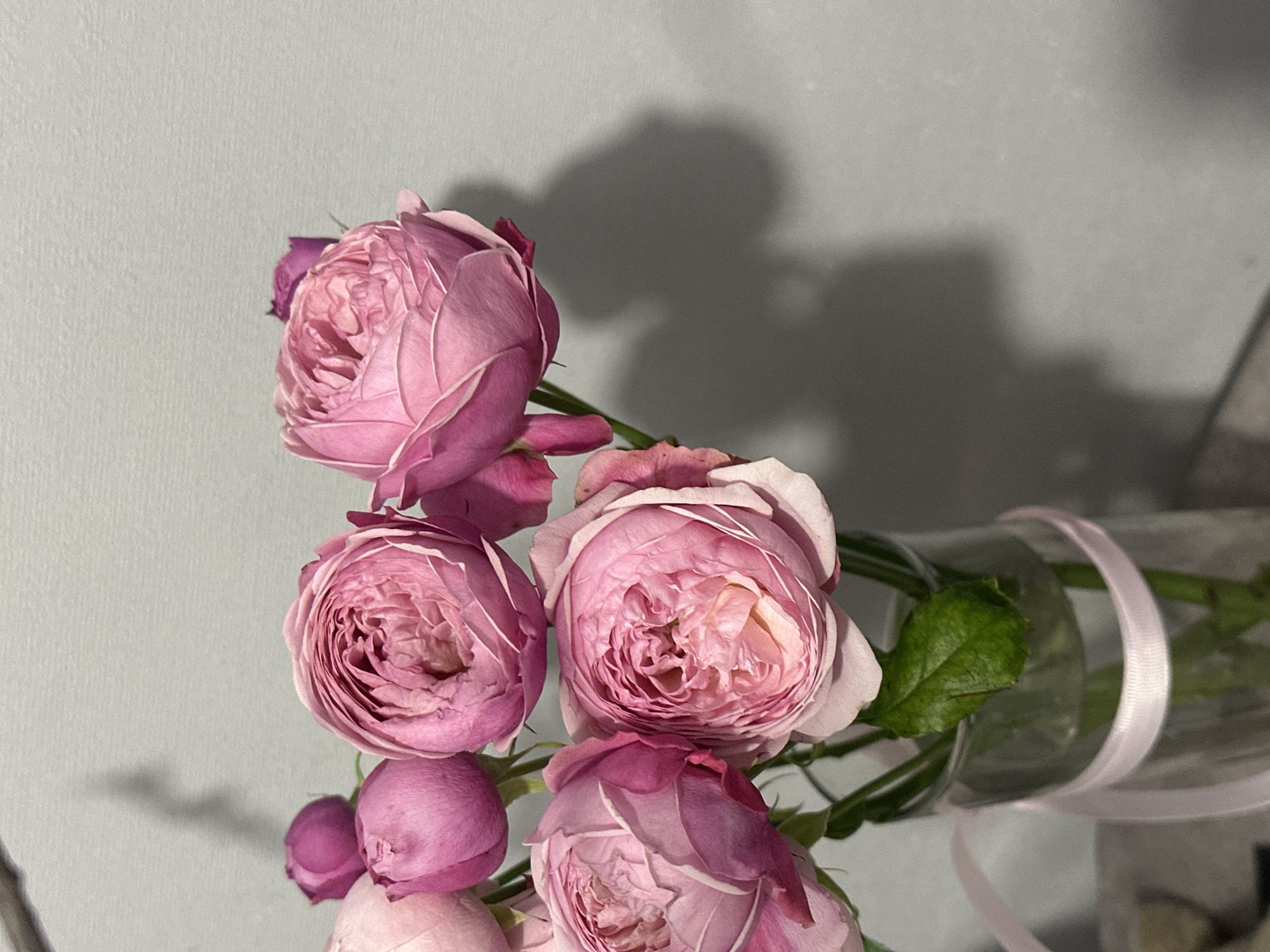 A close-up shot shows a bouquet of pink roses in a clear glass vase tied with a pale pink ribbon. The flowers are arranged with several blossoms prominently displayed, while the vase lies on its side with stems visible inside. A green leaf is nestled among the roses. The background is a light grey wall with a shadow cast by the bouquet. There is no evidence to indicate the location is in Kazan, Russia.