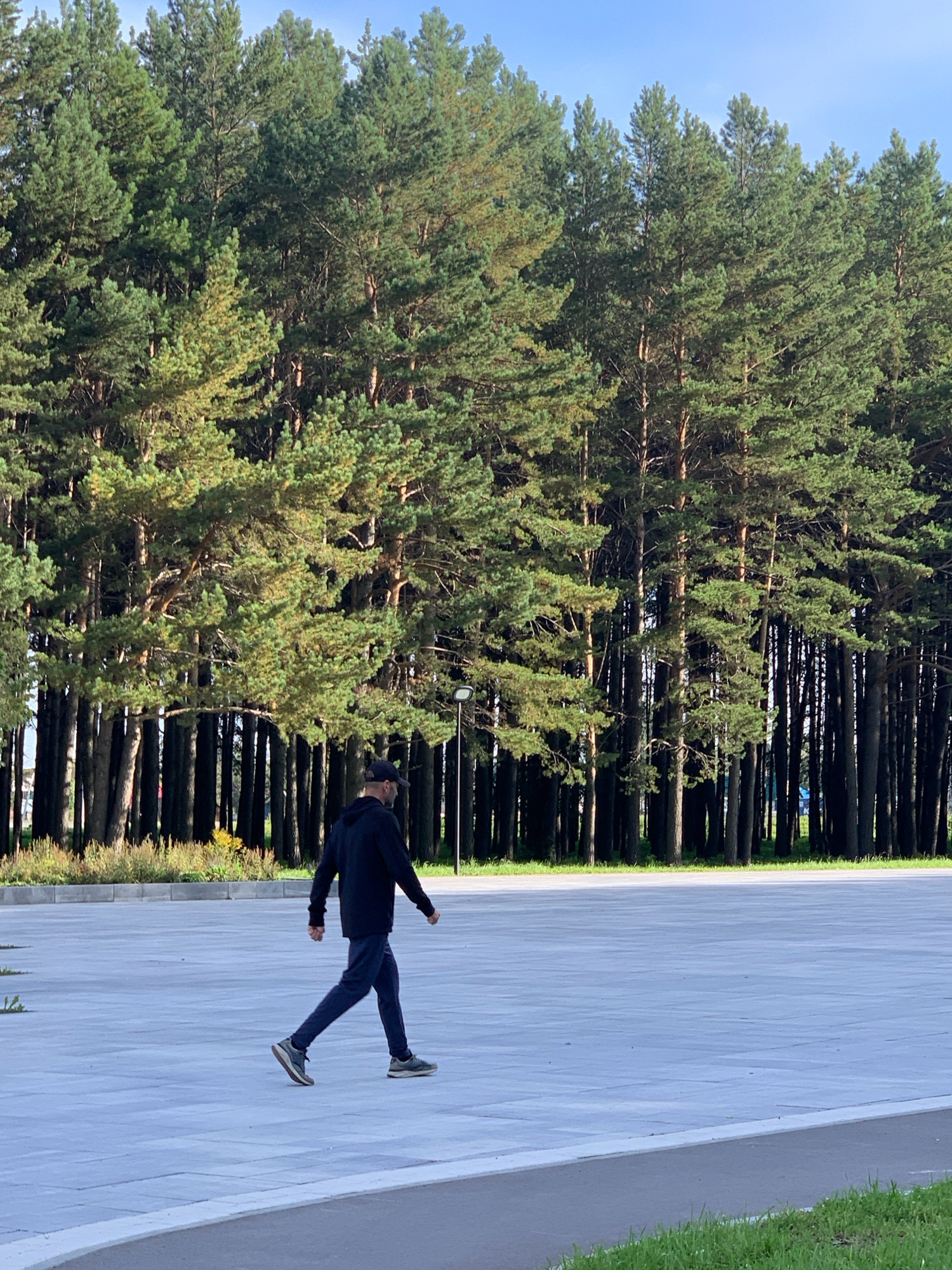 A man is walking across a paved outdoor area with a line of tall pine trees in the background. The man is wearing a dark hoodie, dark pants, a baseball cap, and athletic shoes. He is walking from left to right across the frame. The paved area is light gray with some subtle patterns. The pine trees are dense and form a natural barrier behind the paved area. The sky is clear and blue. The scene appears to be in a park or a public outdoor space, possibly on the outskirts of the city of Prokopyevsk, Russia, given the presence of pine forests typical of the region.