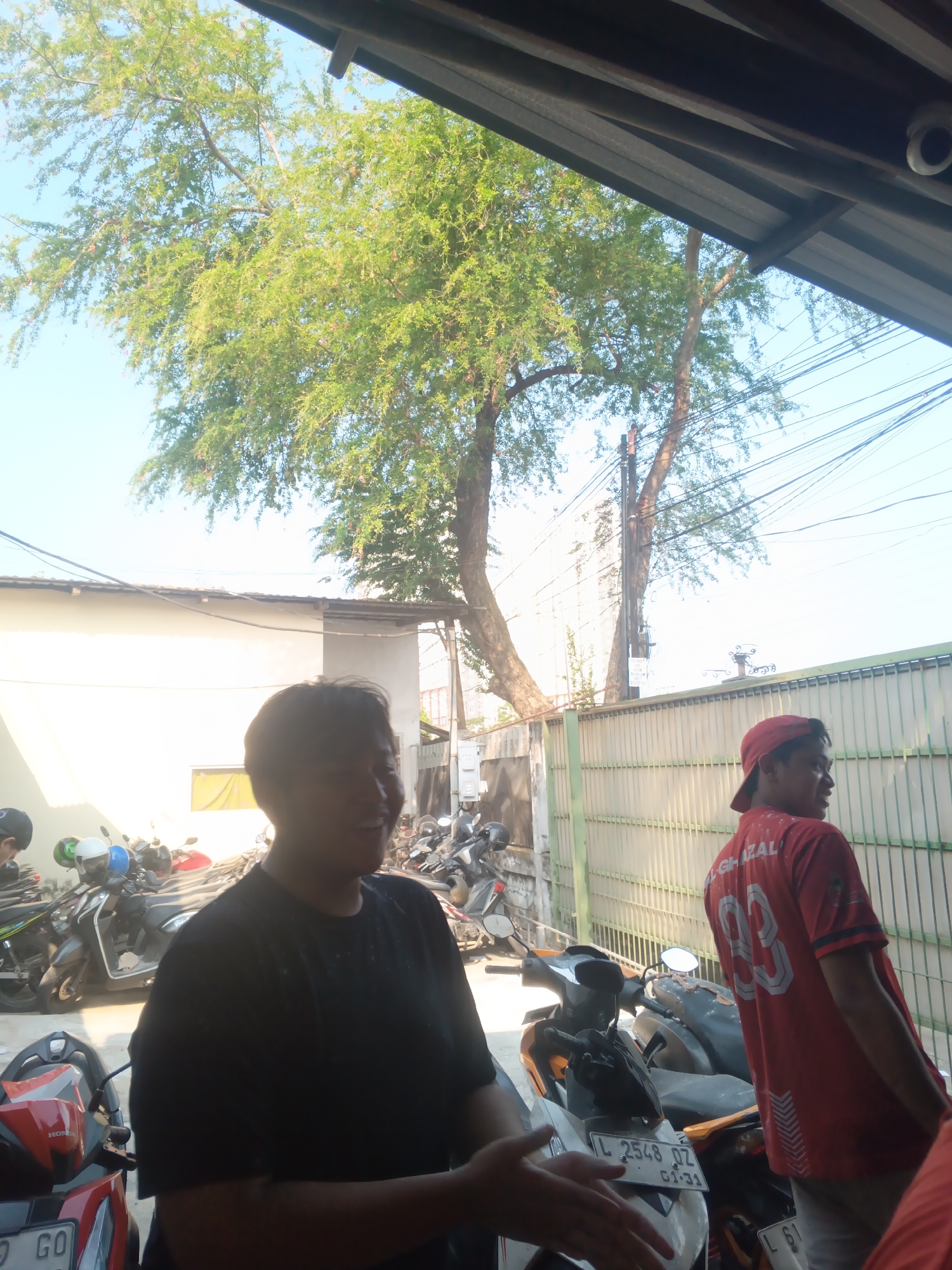 Memory