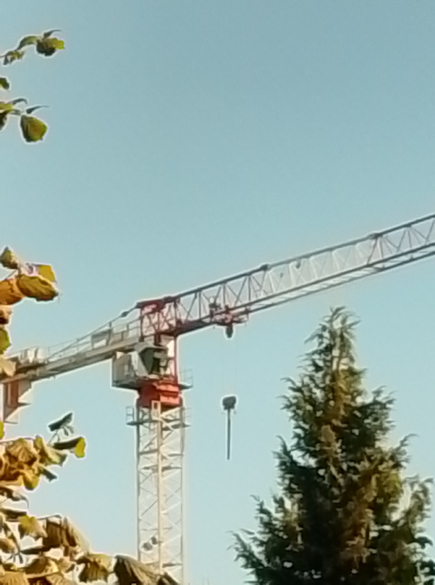 A construction crane with a red and white tower is visible against a clear blue sky in Wedel, Germany. The crane's horizontal boom extends across the frame, supported by a lattice structure. A tree with dark green foliage is situated to the right of the crane. In the foreground, on the left side of the image, are branches with yellowing leaves, suggesting an autumnal setting. The overall scene depicts a construction site in progress.