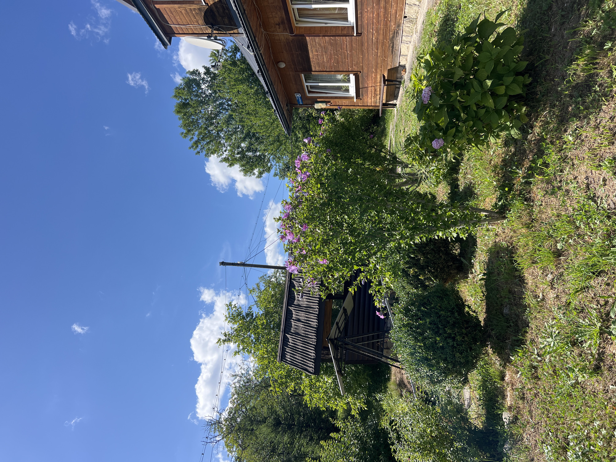 This is a daytime, medium-shot photograph taken outdoors in the city of Yaremche, Ukraine. The scene depicts a rural or suburban setting with a wooden house on the right and various trees and vegetation in the foreground and midground. The sky is bright blue with scattered white clouds.
The house is constructed of dark wooden planks and features several windows with white frames. A satellite dish is mounted on the side of the house. A street sign with Cyrillic lettering is visible on the wall of the house. In front of the house, a dark wooden bench is positioned near the foundation.
To the left of the house, there is a small, dark-colored structure with a corrugated metal roof, possibly a shed or wellhouse. This structure is surrounded by lush green bushes and trees. A flowering bush with purple blossoms is prominently featured in the midground. The ground is covered in grass and some dry leaves, with shadows cast by the vegetation and structures.
There are no people visible in the image. The overall impression is one of a peaceful, sunlit day in a natural environment.