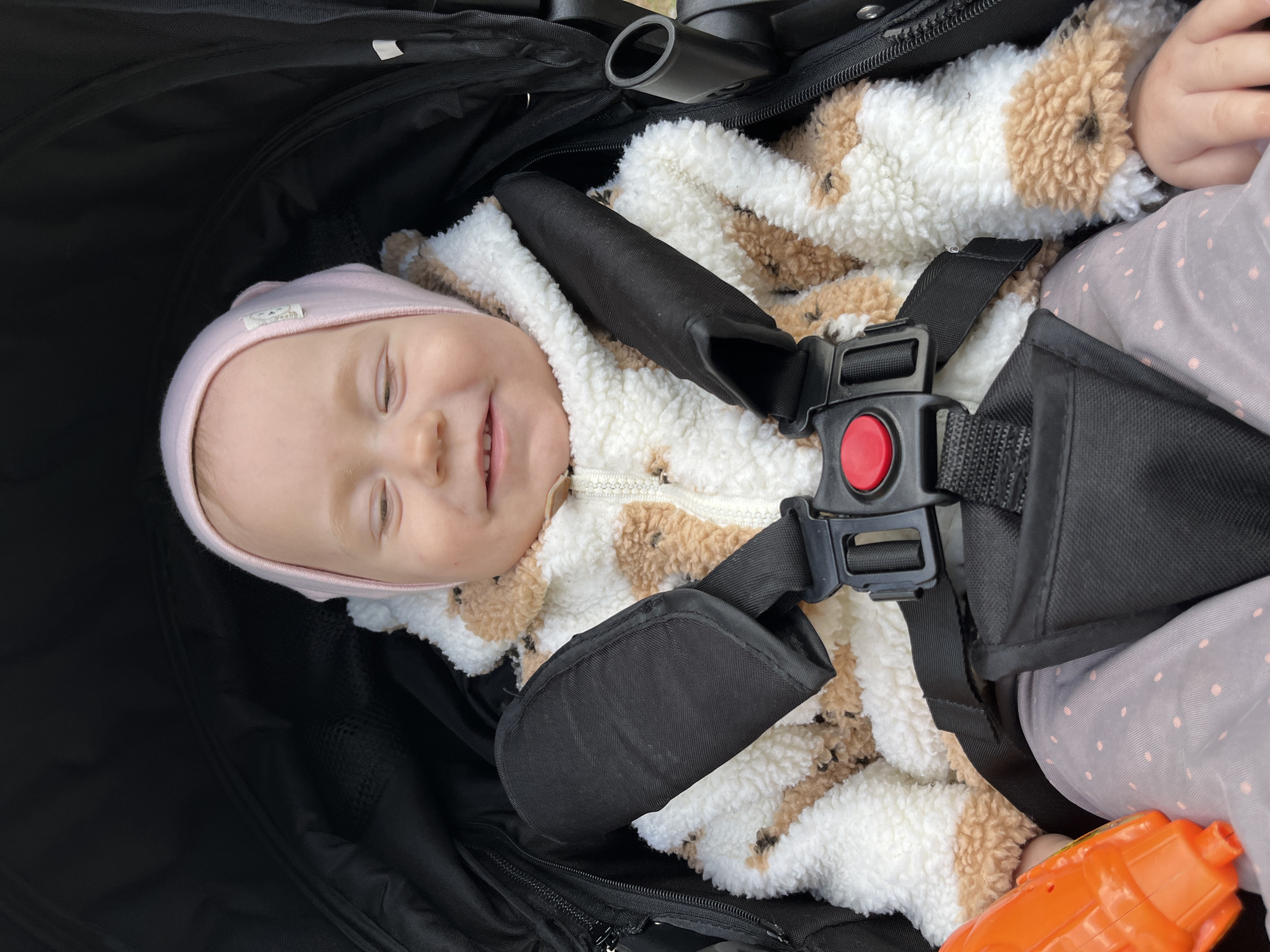 An overhead shot captures a smiling baby comfortably nestled in a black stroller. The baby, likely in Chaikovsky, Russia, wears a soft pink knitted hat and a fluffy white and brown jacket with a texture resembling sheep's wool, suggesting cool weather. Their eyes are gently closed in a happy expression as they smile broadly. The baby is secured by a black safety harness featuring a prominent red button buckle and padded straps. Light pink or grey pants with subtle dots cover the baby's legs. A small, orange toy is partially visible near the baby's right hand. The natural, bright lighting indicates it is daytime. A small, white label with an illegible logo or text is visible on the pink hat.
