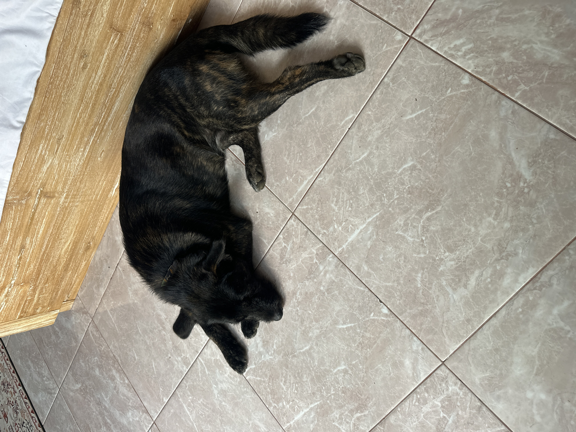 A dark-colored dog with brindle markings is sleeping on a tiled floor. The dog is lying on its side with its head resting on its paws. To the right of the dog is the side of a wooden bed frame. The floor is tiled with light-colored square tiles with a marble-like pattern. In the upper left corner of the image, a portion of a patterned rug is visible. The scene appears to be indoors, likely a bedroom, in North Kuta, Indonesia.